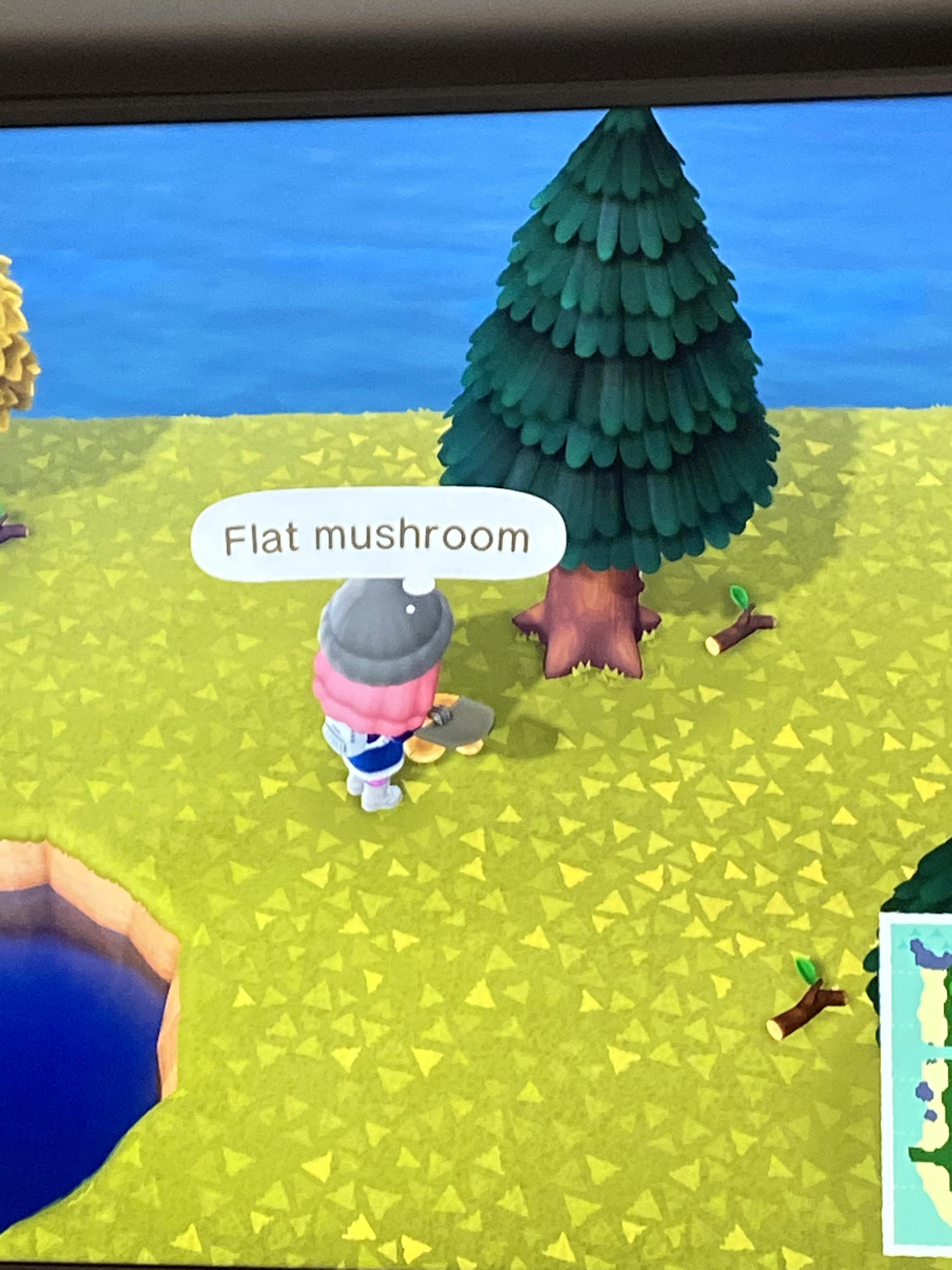 Mushrooms are here!! (S Hemisphere) r/ac_newhorizons