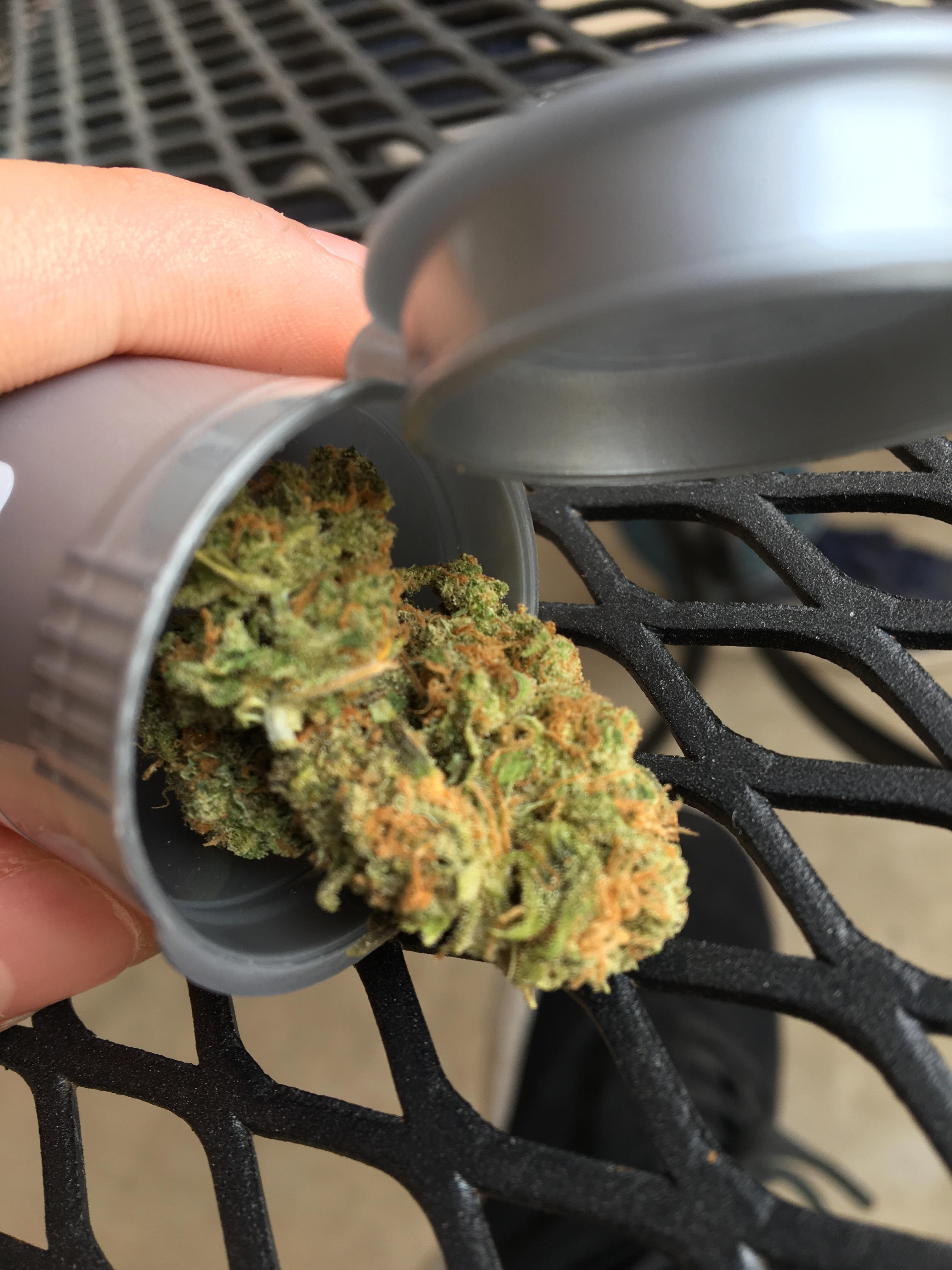 Rug burn OG on this fine Arizona day r/weed