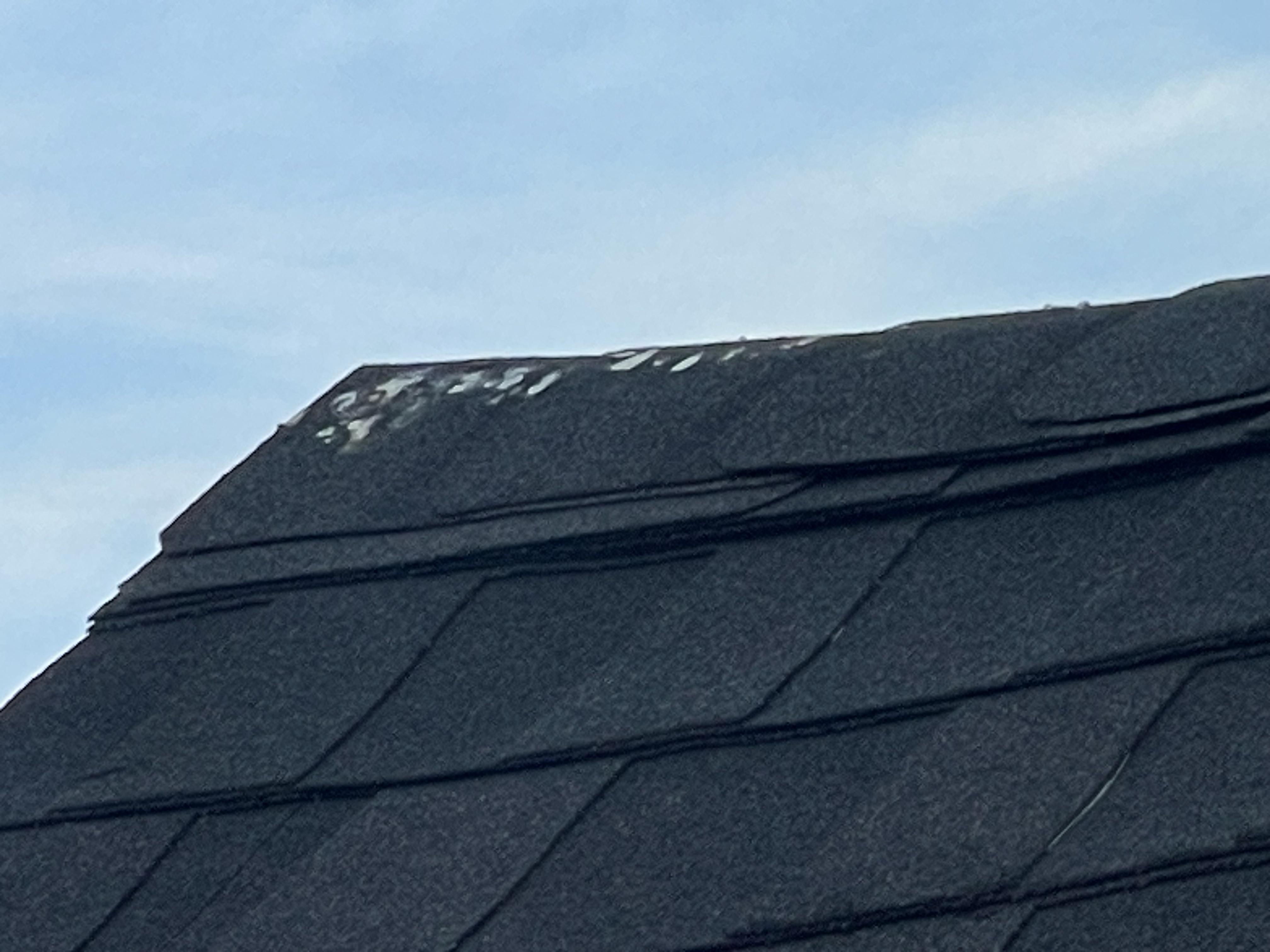 Bird poop r/Roofing