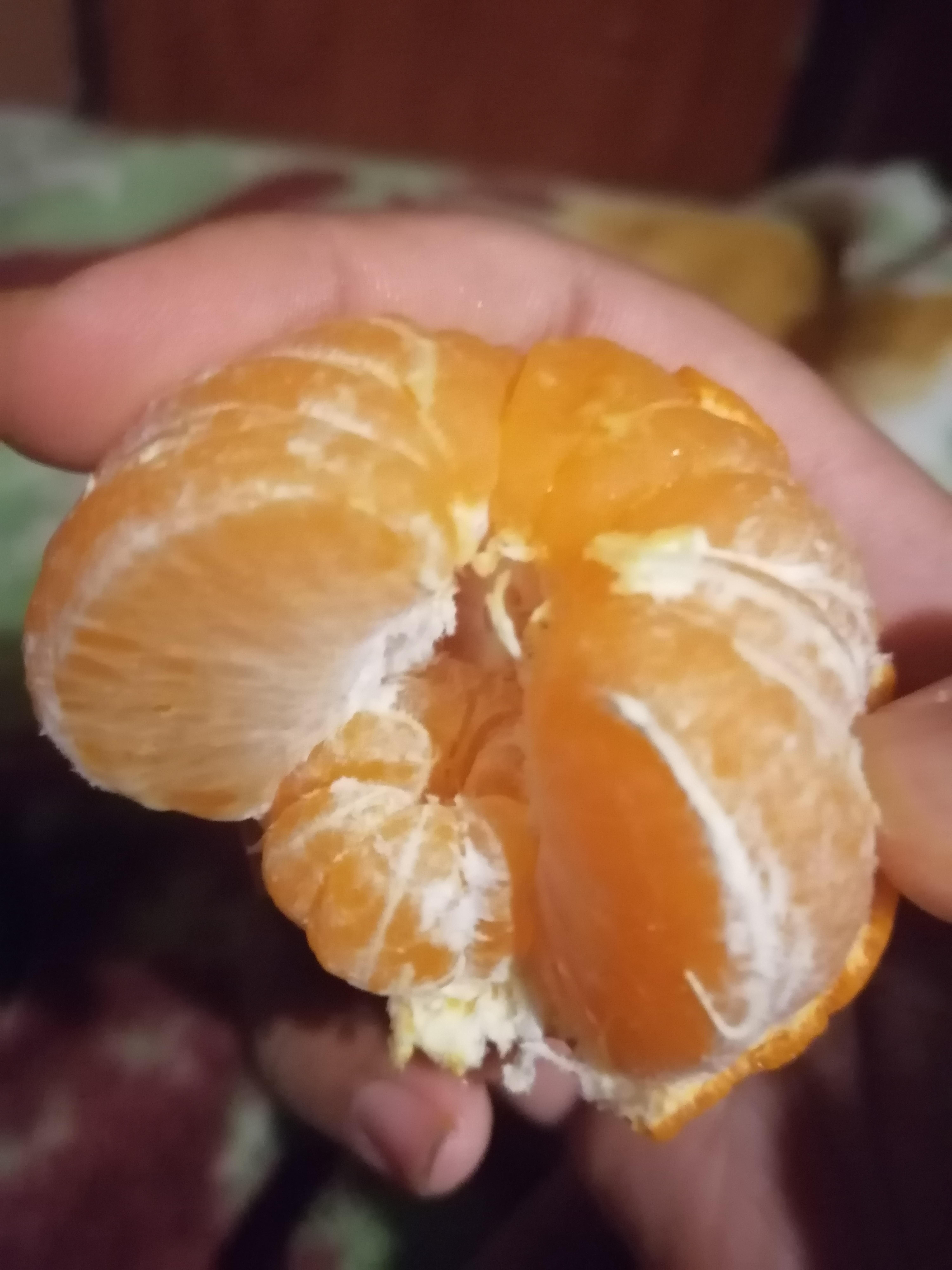 This naartjie fruit with a mini naartjie fruit inside it r