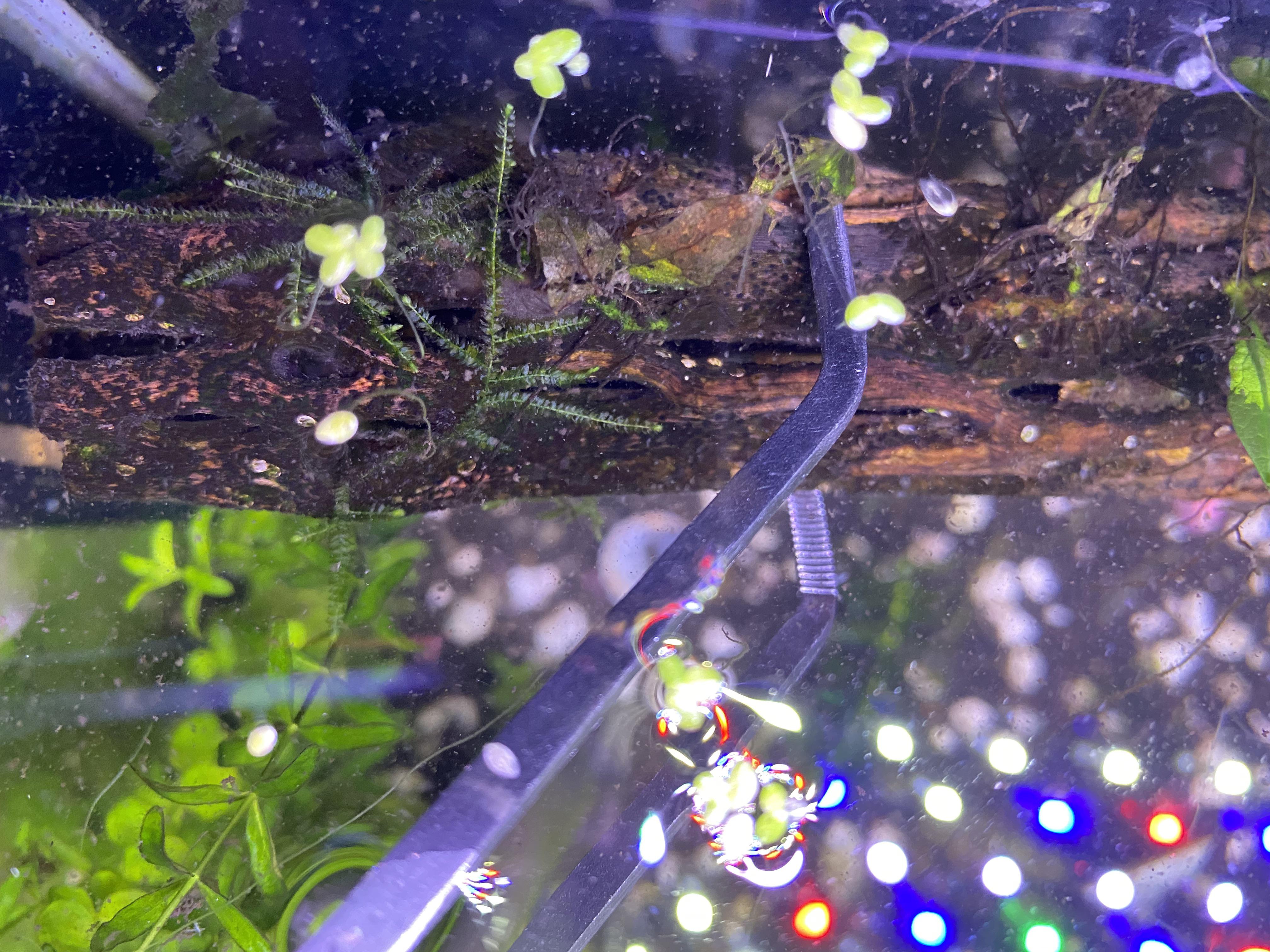 Is this wood still useable? I’ve had it for about a year. It’s turning