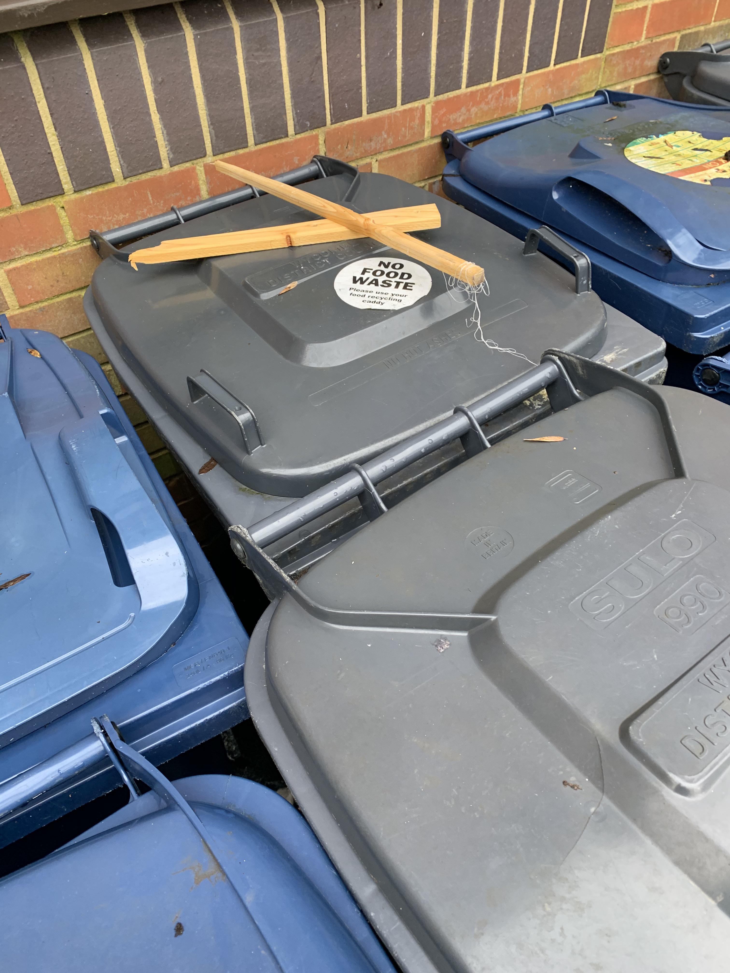 When you’ve played the TLD you start seeing things everywhere a snare