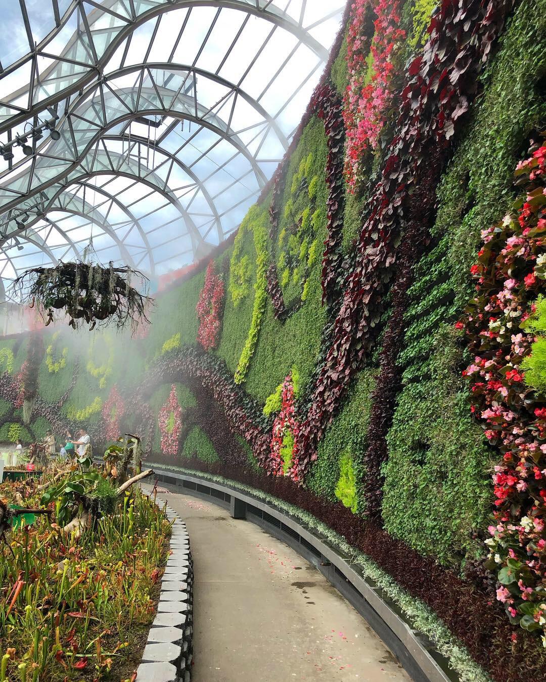 Check out this magnificent plant wall at The Calyx (Royal Botanic