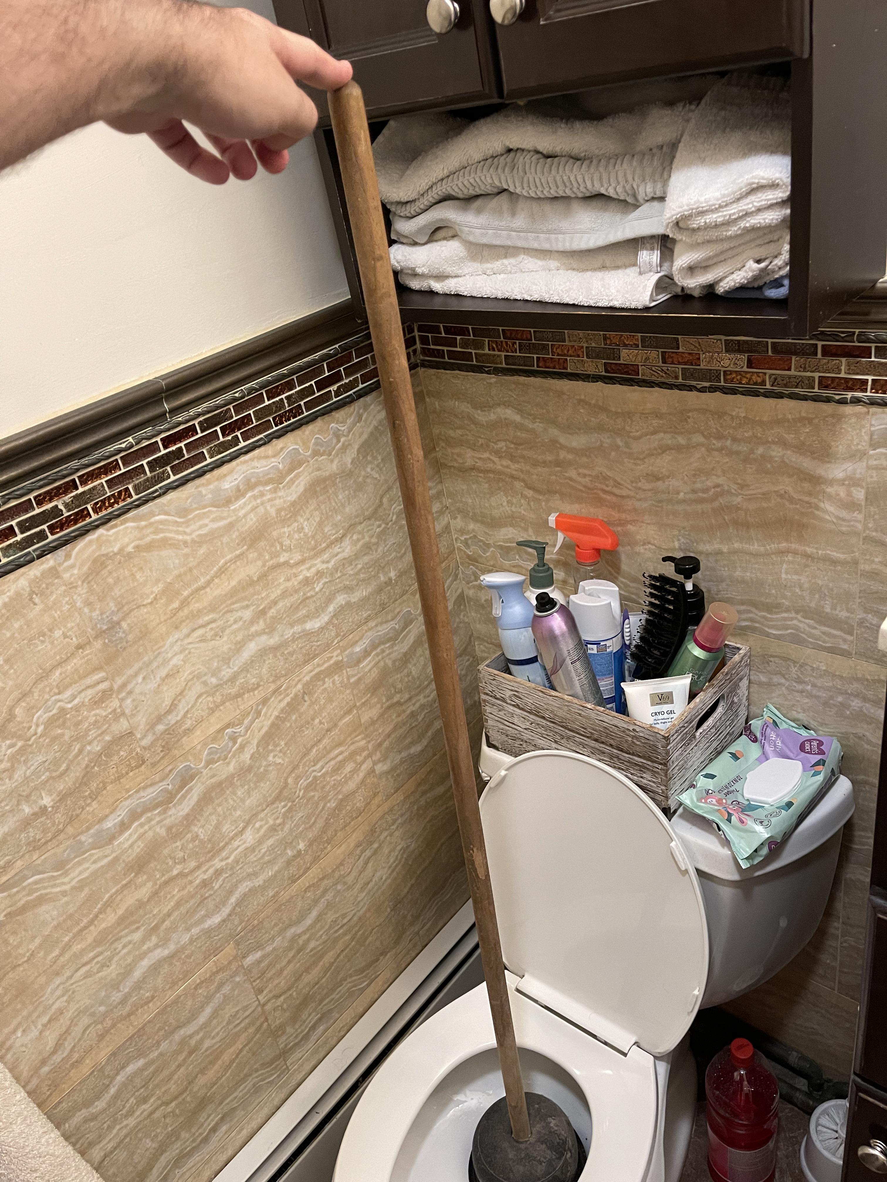 Worst Clogged Toilet