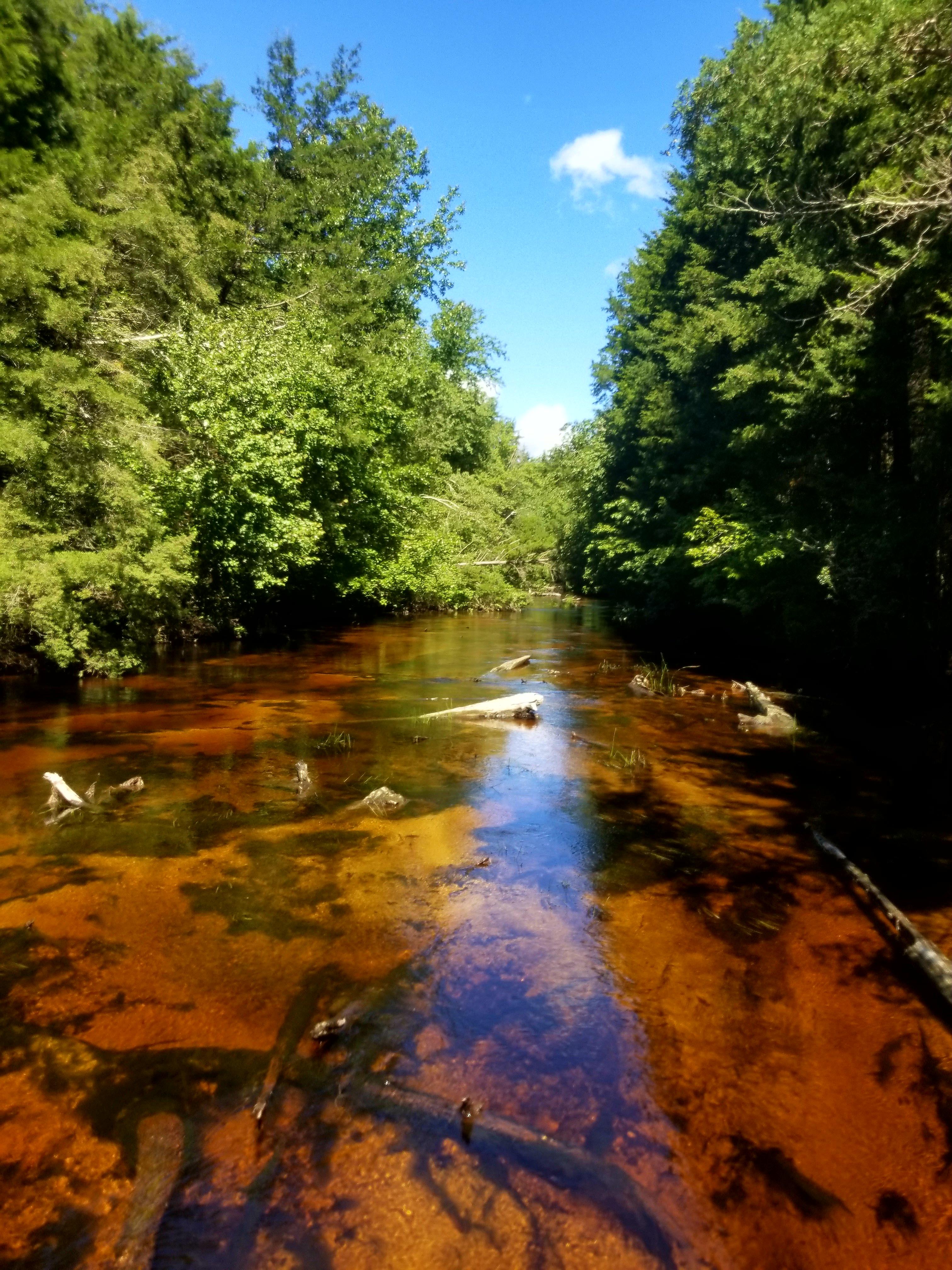 NJ pine barrens r/Kayaking