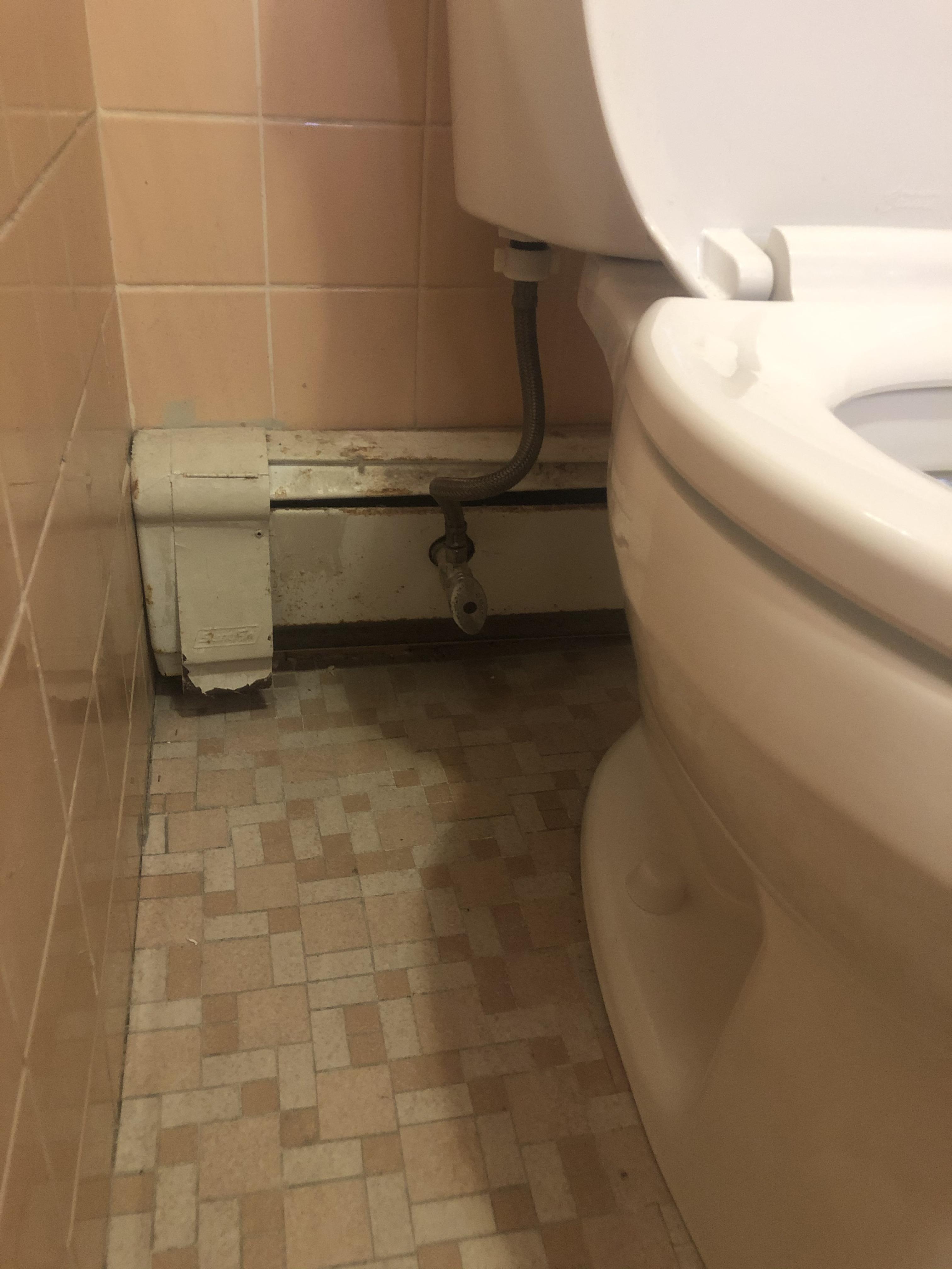 Instant hot water for toilet r/Plumbing