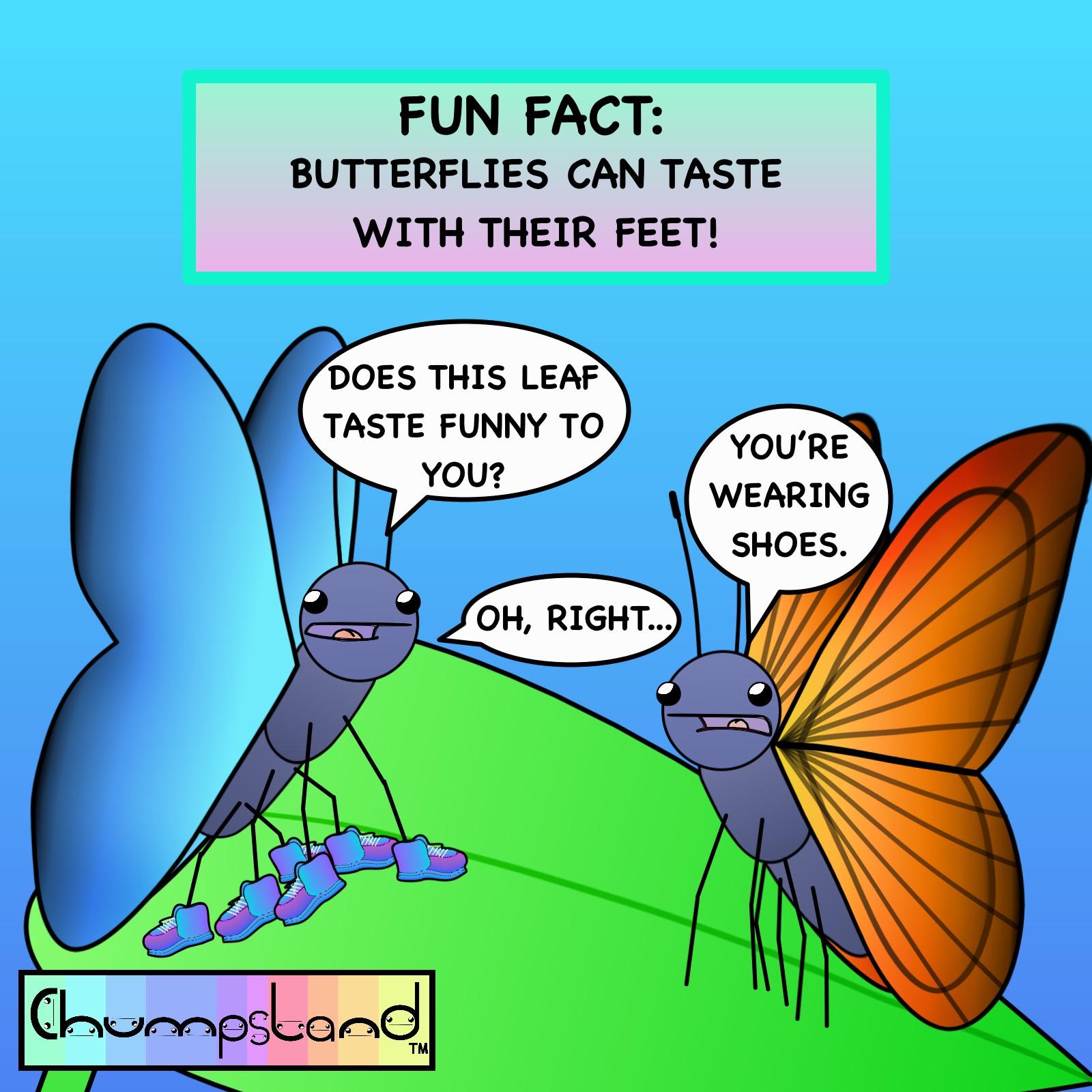 Fun Fact Butterflies can taste with their feet! r/funfacts
