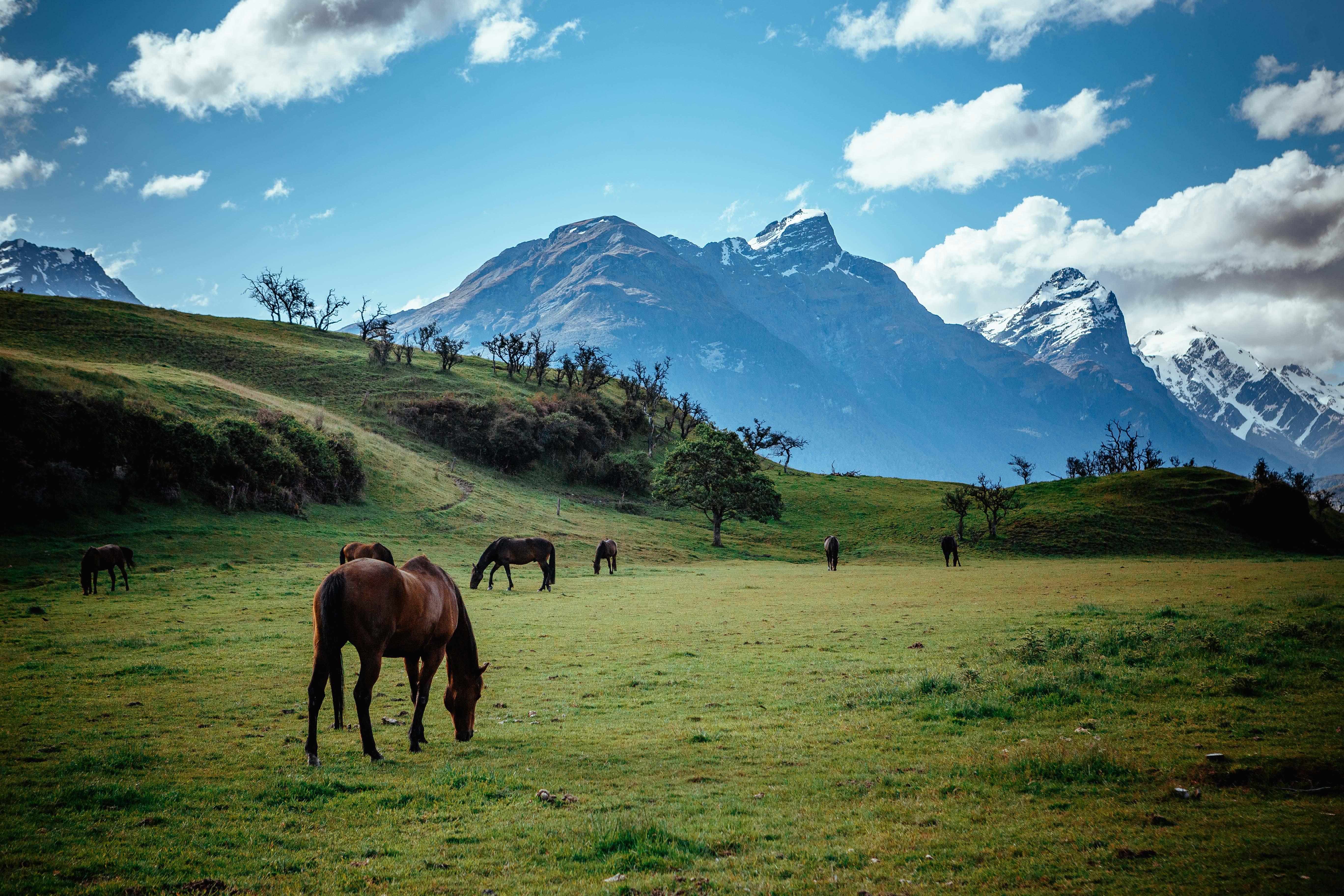 A scene from Paradise, NZ r/newzealand
