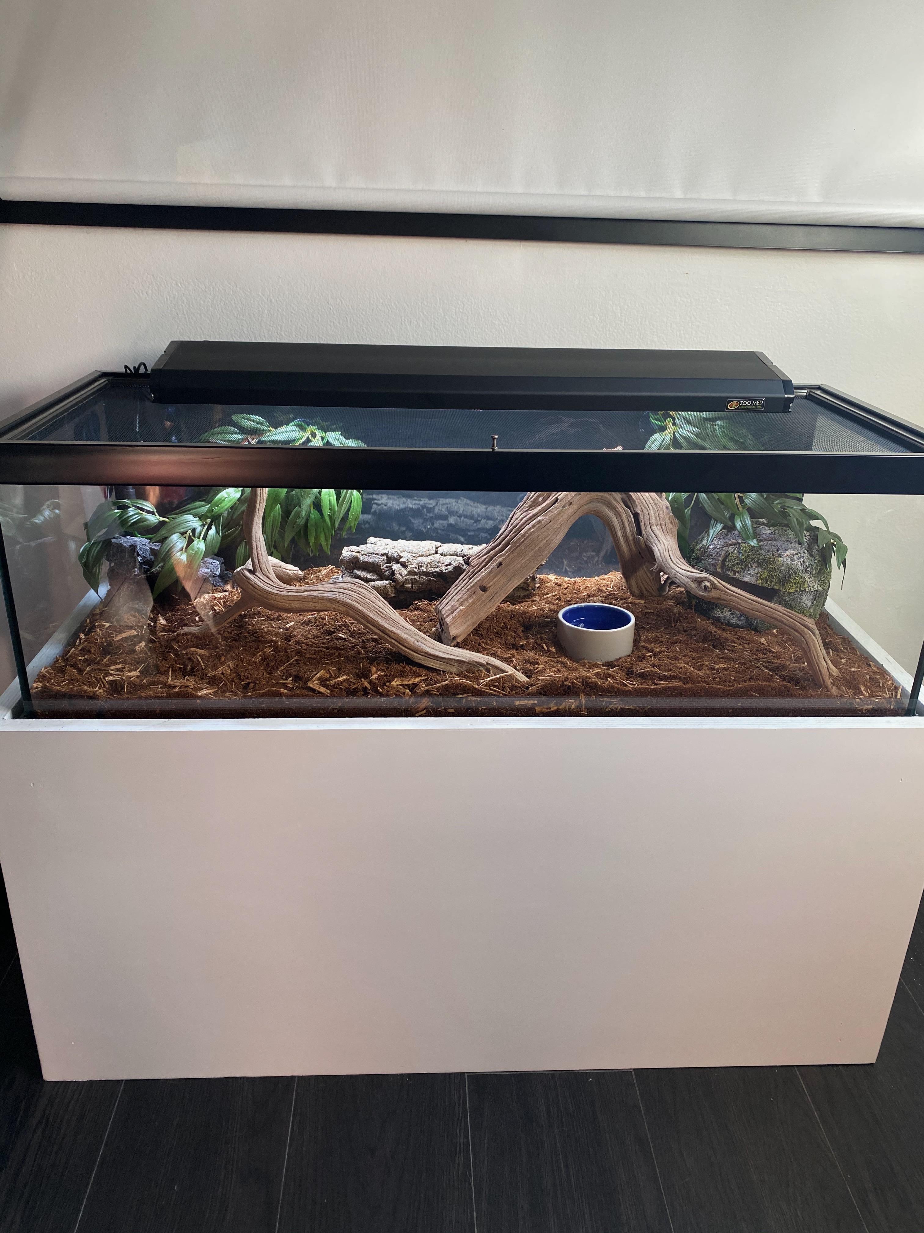 Is this set up fine for a corn snake? Or should I add more “clutter
