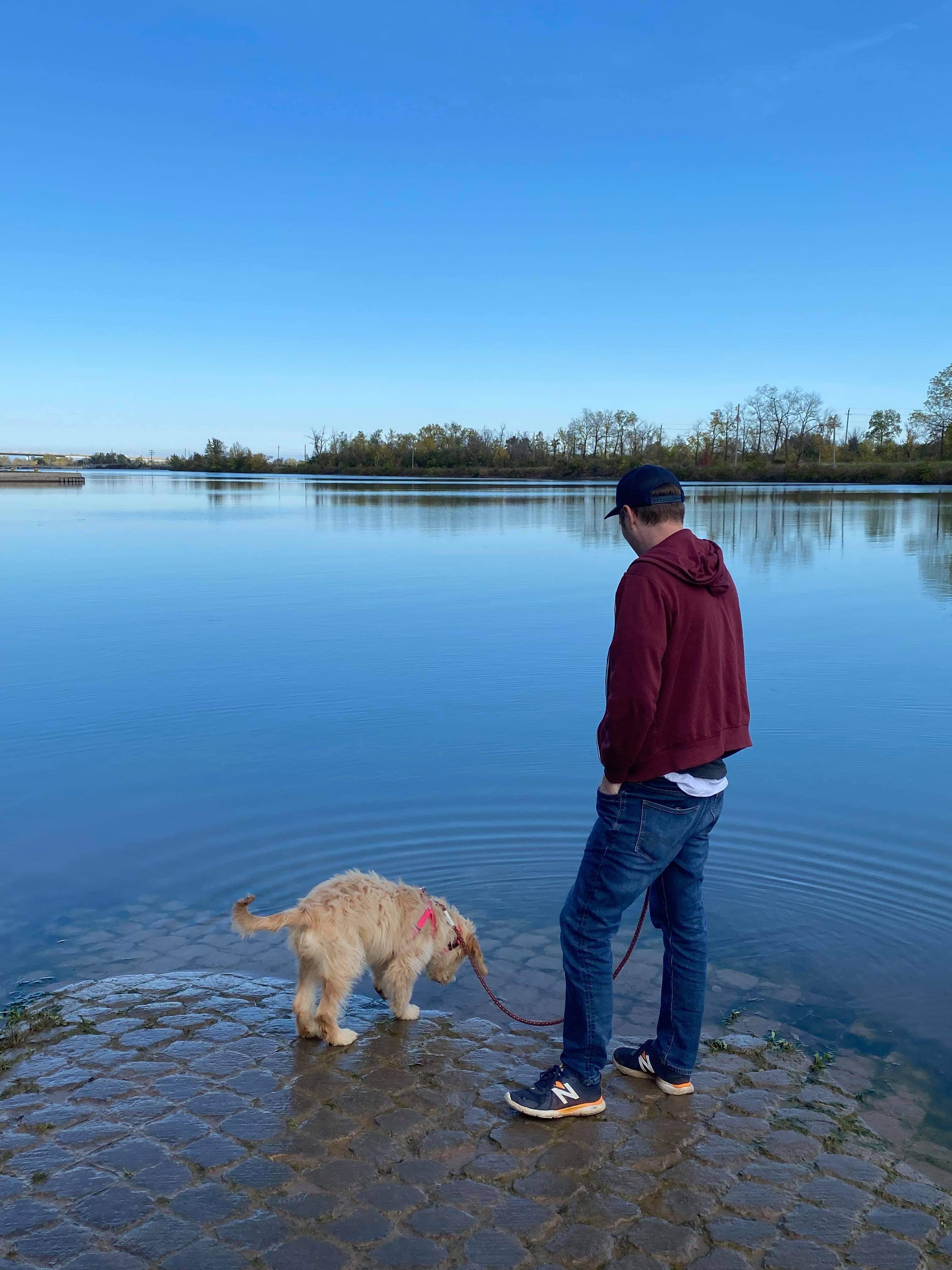 198 best Doodle Doods images on Pholder Goldendoodles, Gamegrumps and