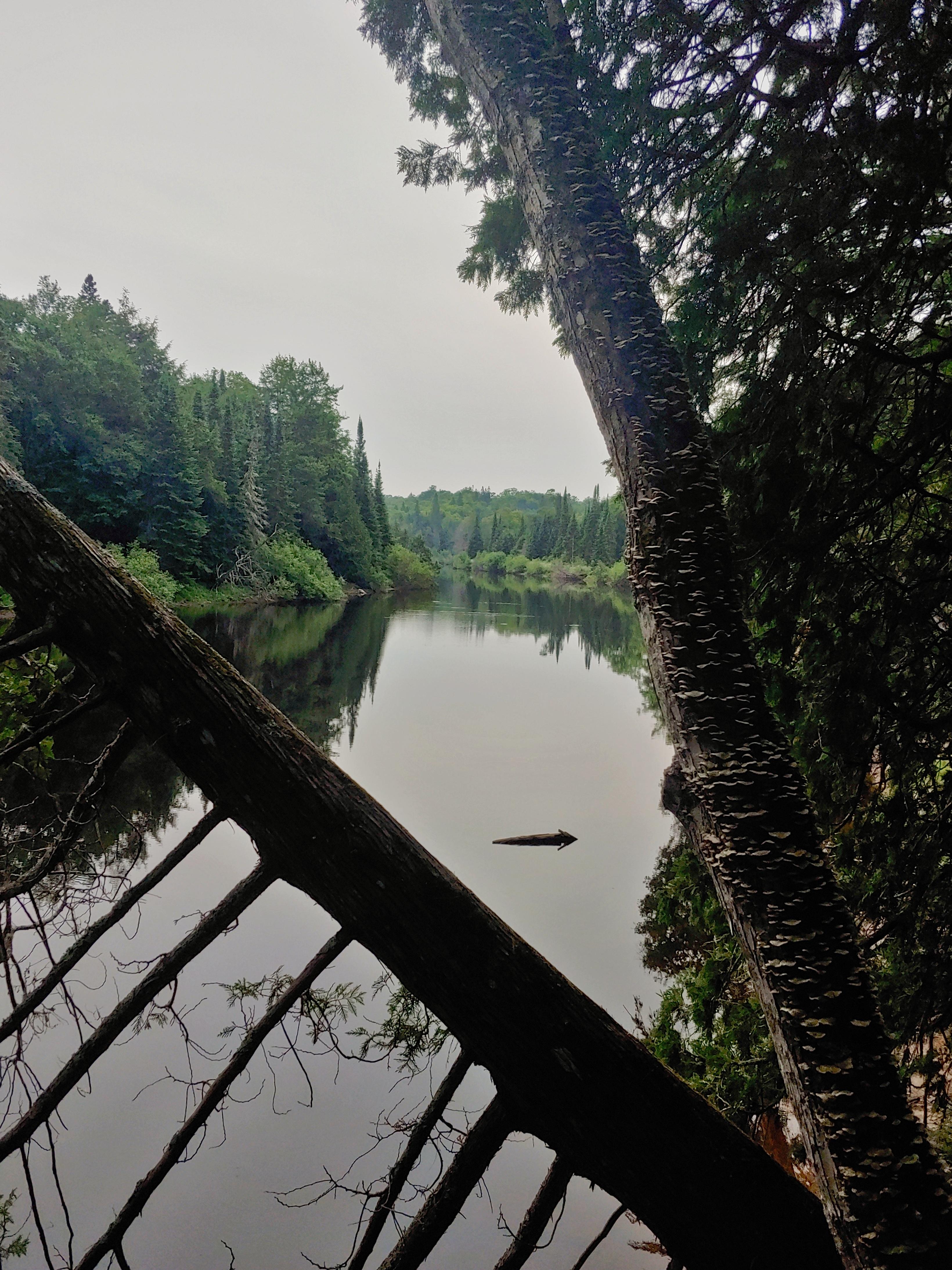 Tahquamenon river from the between da falls trail r/Michigan
