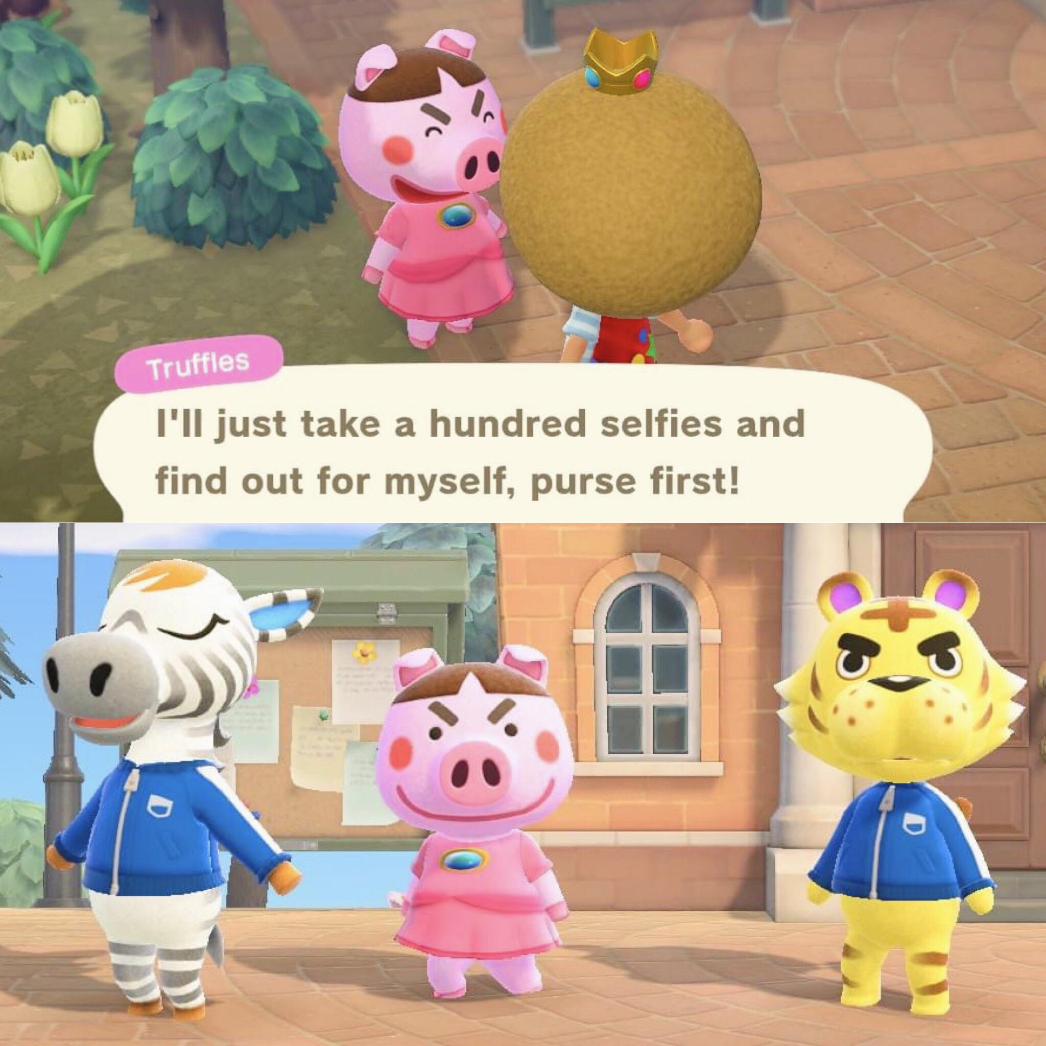 truffles looks REALLY GOOD in peach’s dress. yeah that’s the whole post