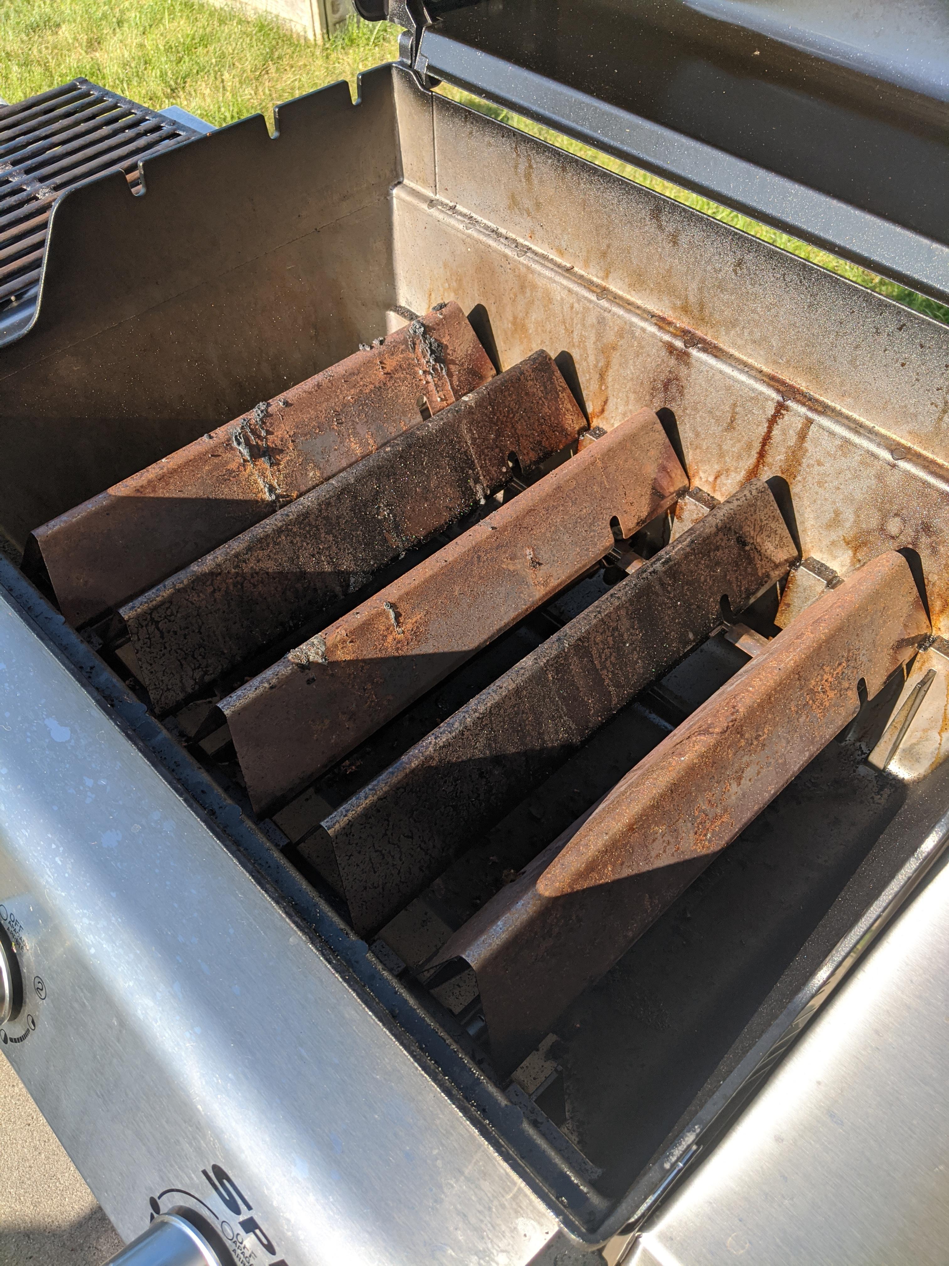 I'm new to gas grilling. Are these supposed to be this 'rusted' after only a few grilling