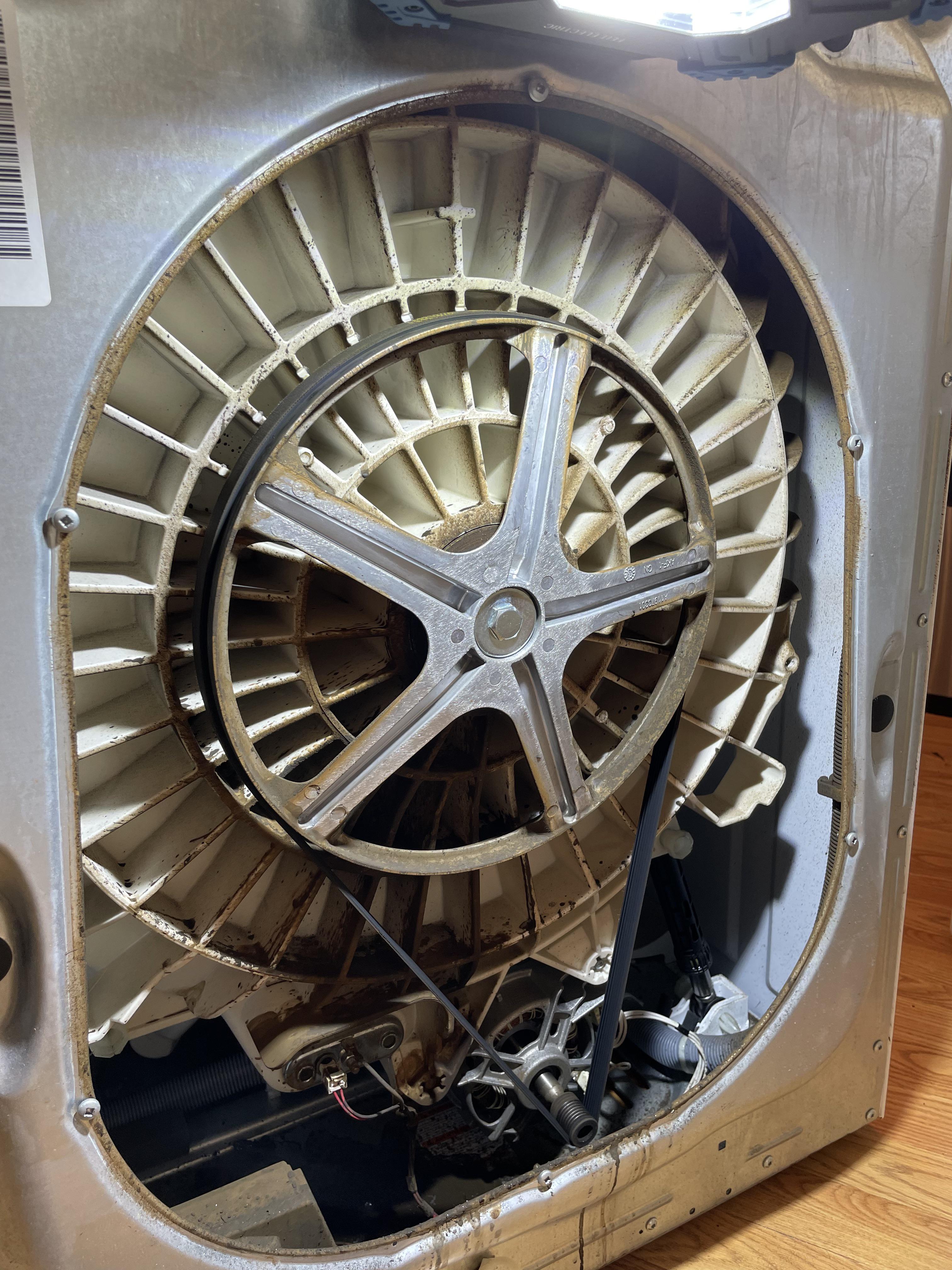 HELP Electrolux washing machine issue. What’s the brown stuff? r