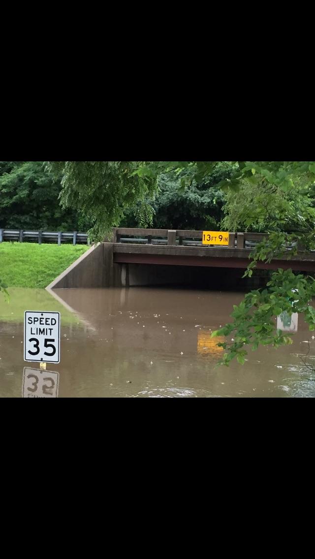 Flooding in Lake Bluff, IL (taken yesterday) r/weather
