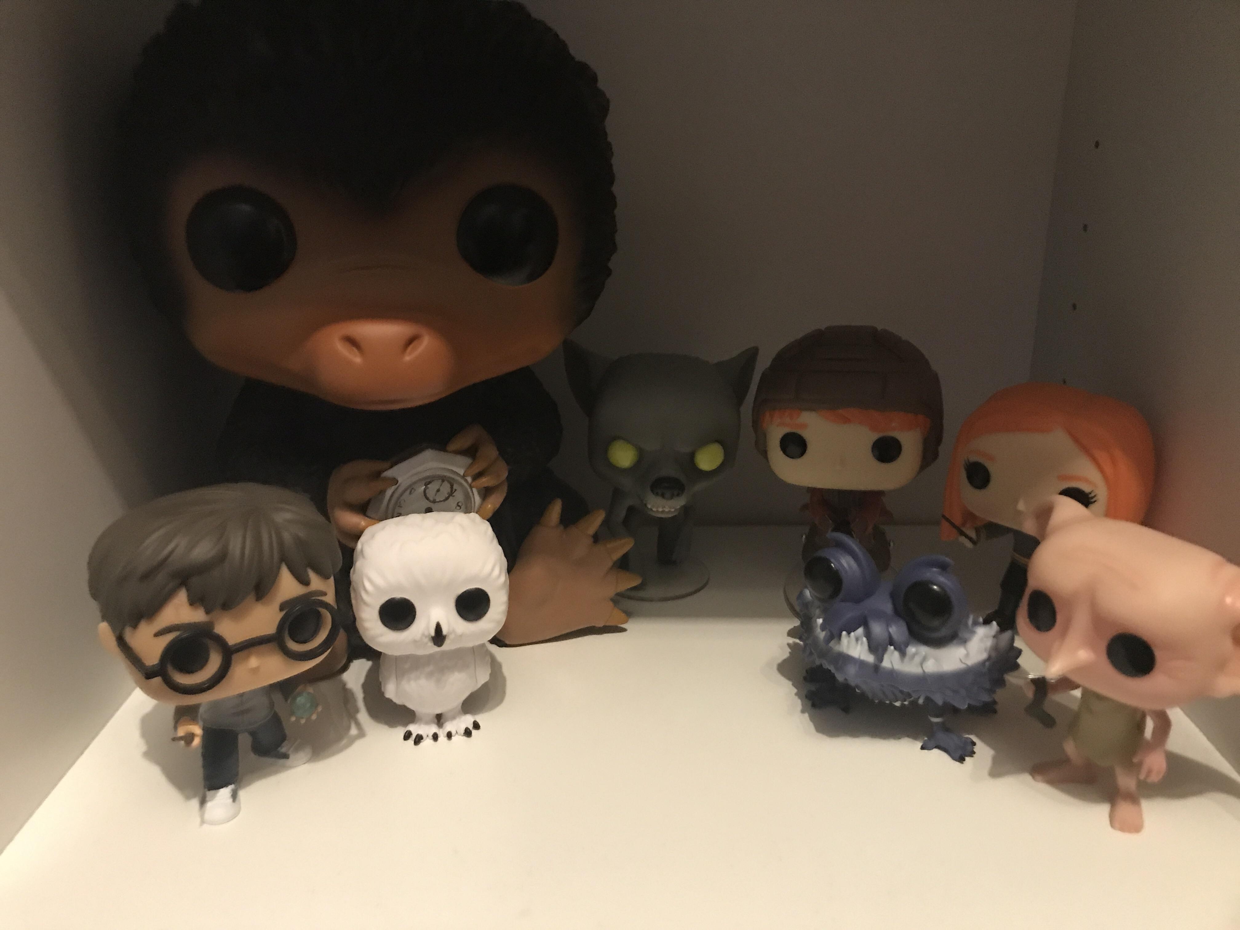 The Harry Potter/Fantastic Beasts Family r/harrypotter