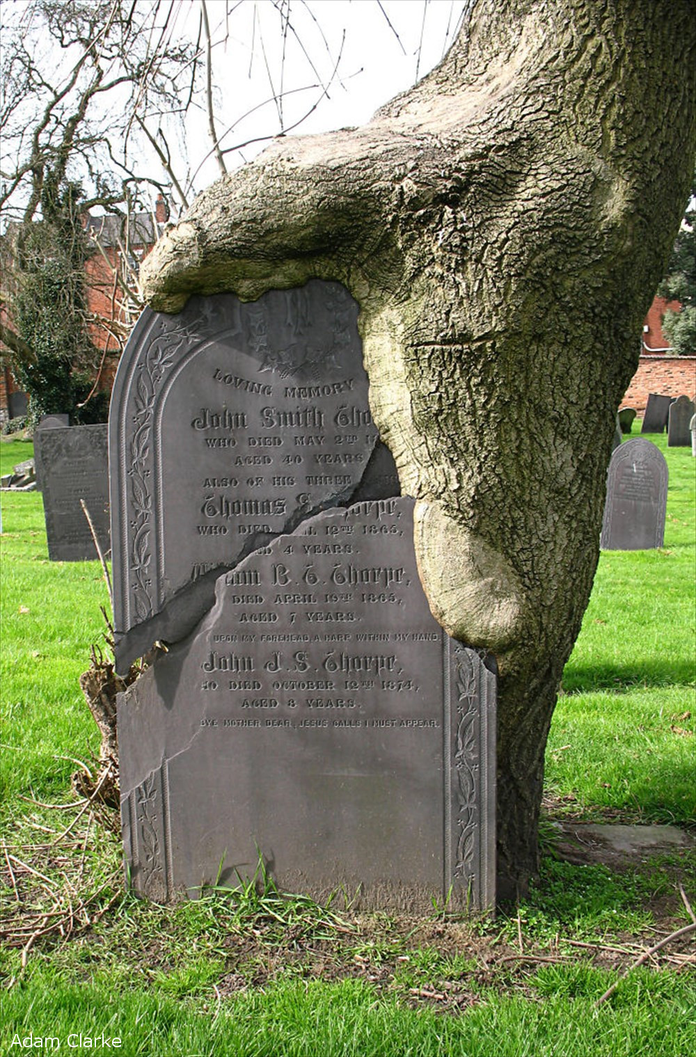 The 1800s tombstone of a father and his three children, aged 4, 7, and