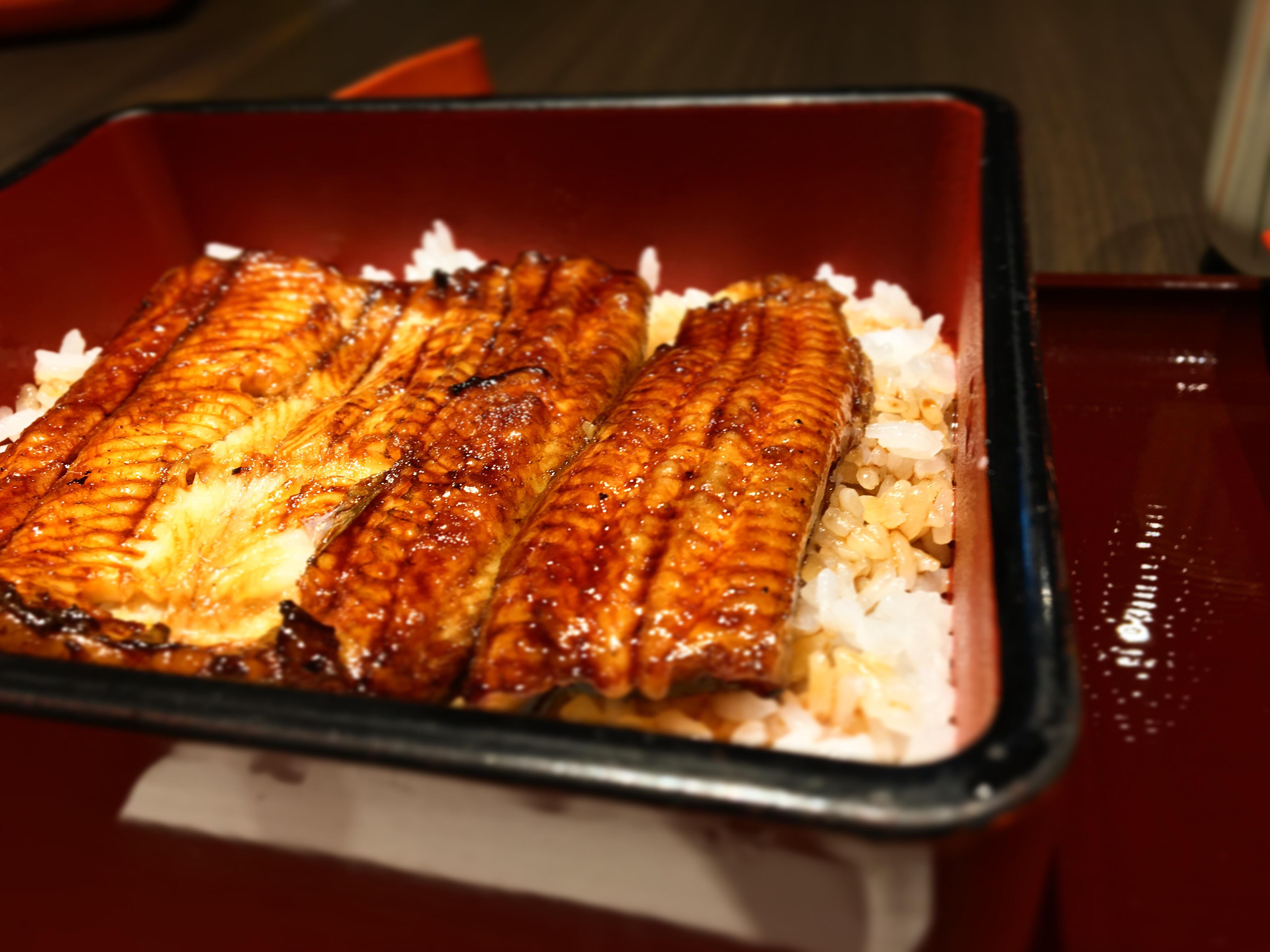 [I ATE] Japanese Eel Rice r/food