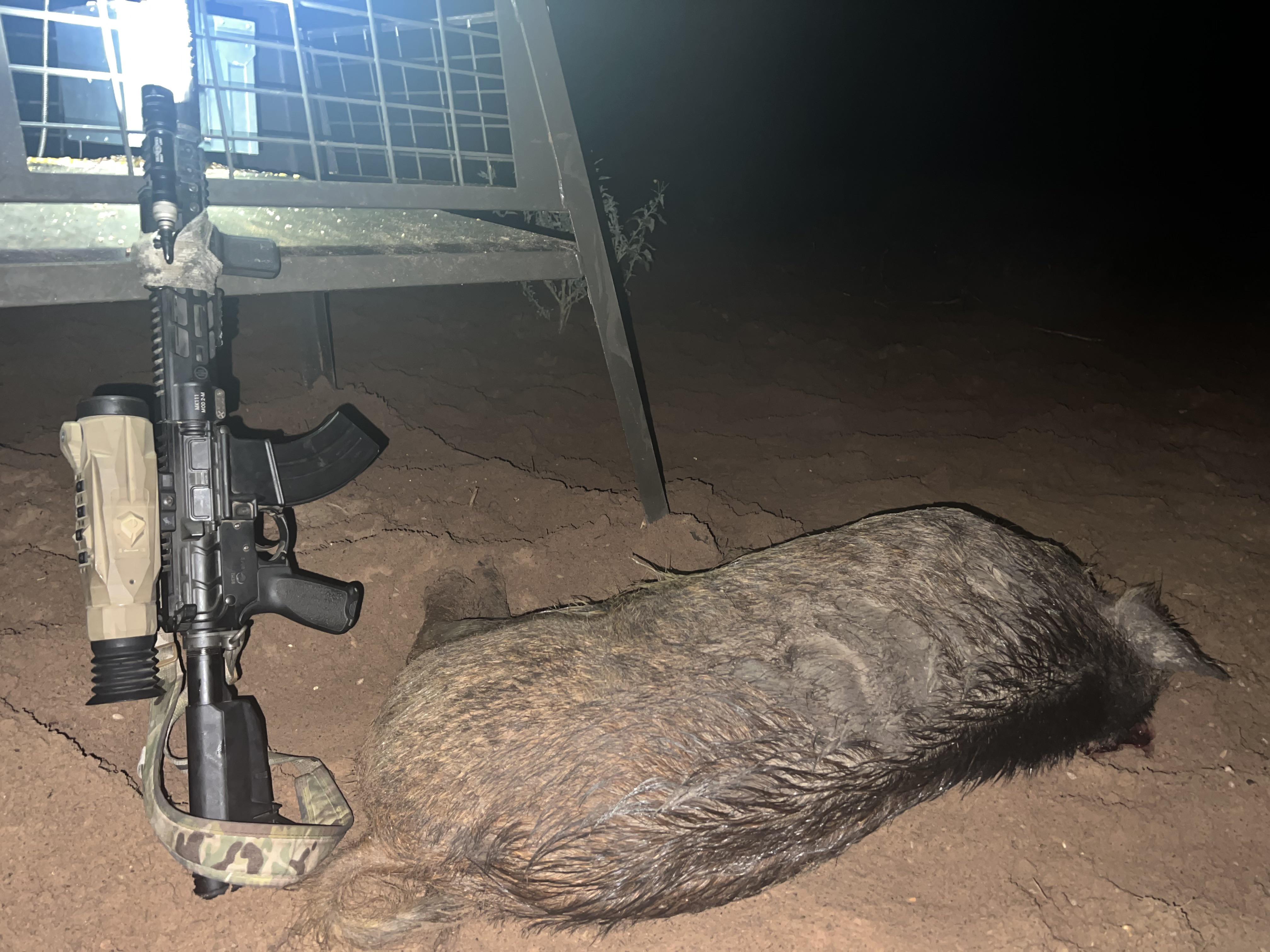 Headshot dead shot r/Hunting