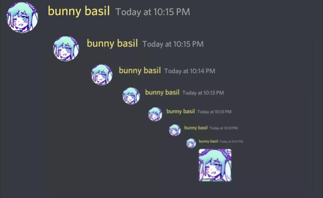 bunny basil ontheledgeandshit