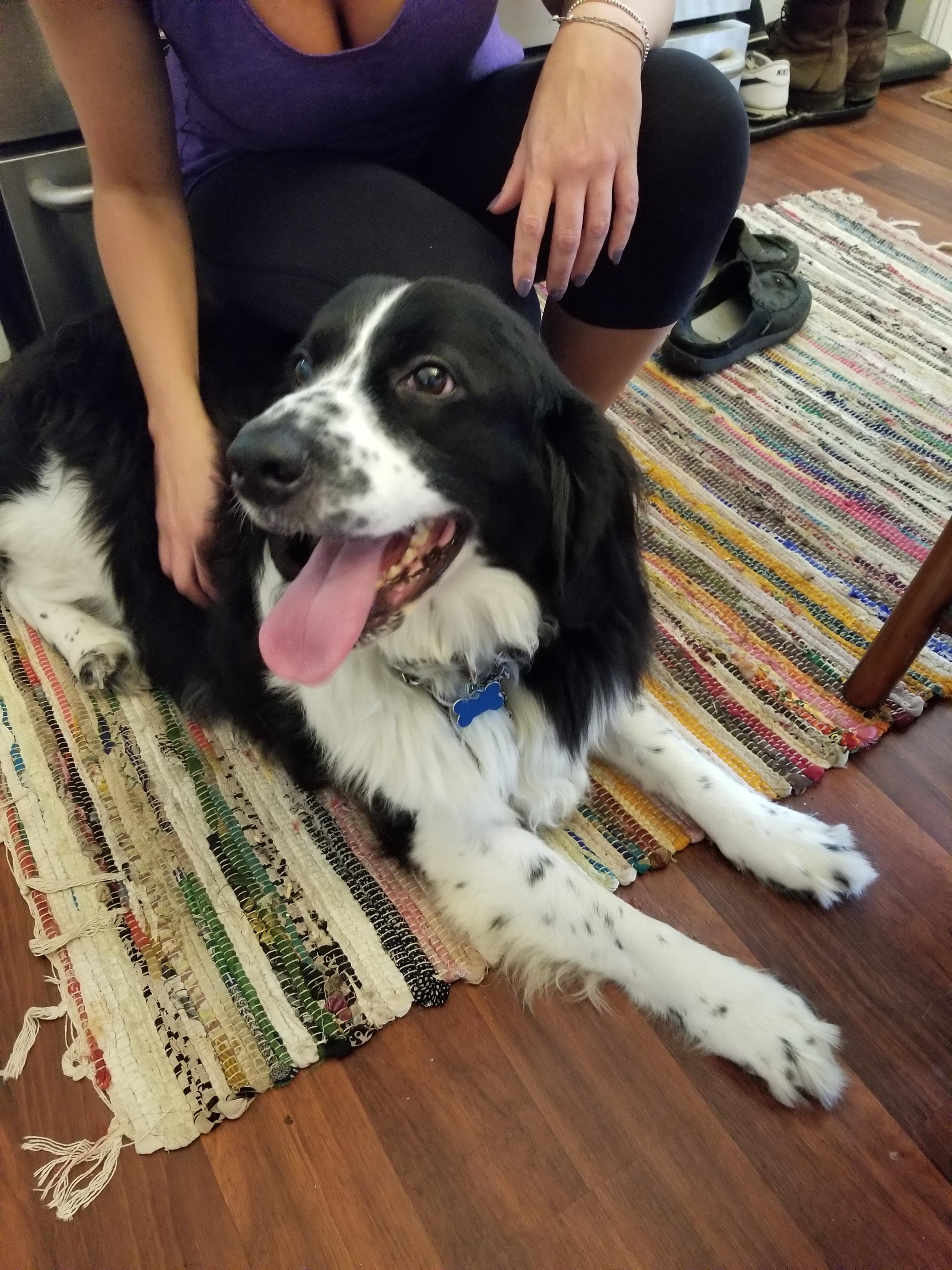 Adoption finalized. Reddit meet Tory. r/aww