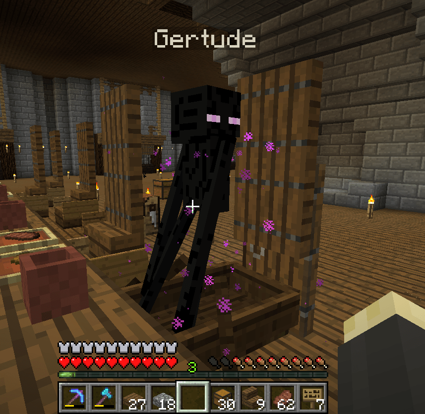 I tamed an Enderman today. Meet my new friend Gertrude! r/Minecraft