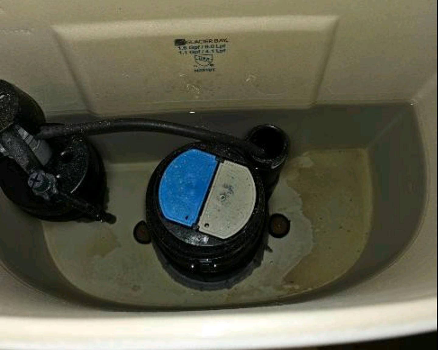 Glacier Bay Dual Flush Valve r/askaplumber