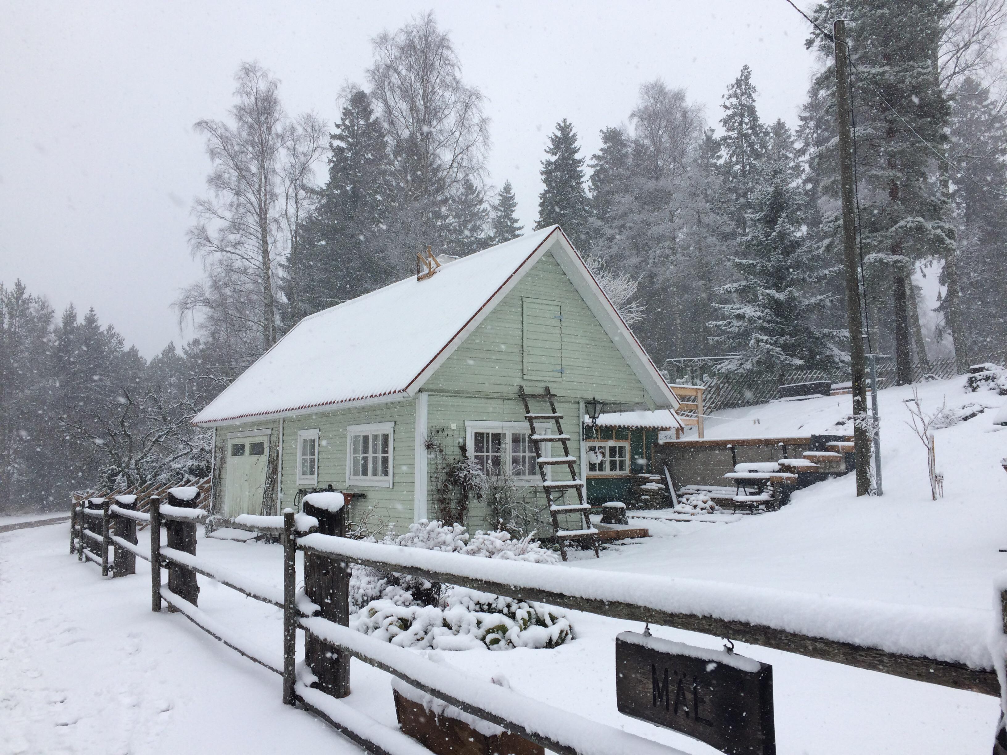 Lahemaa national park. Estonia r/europe