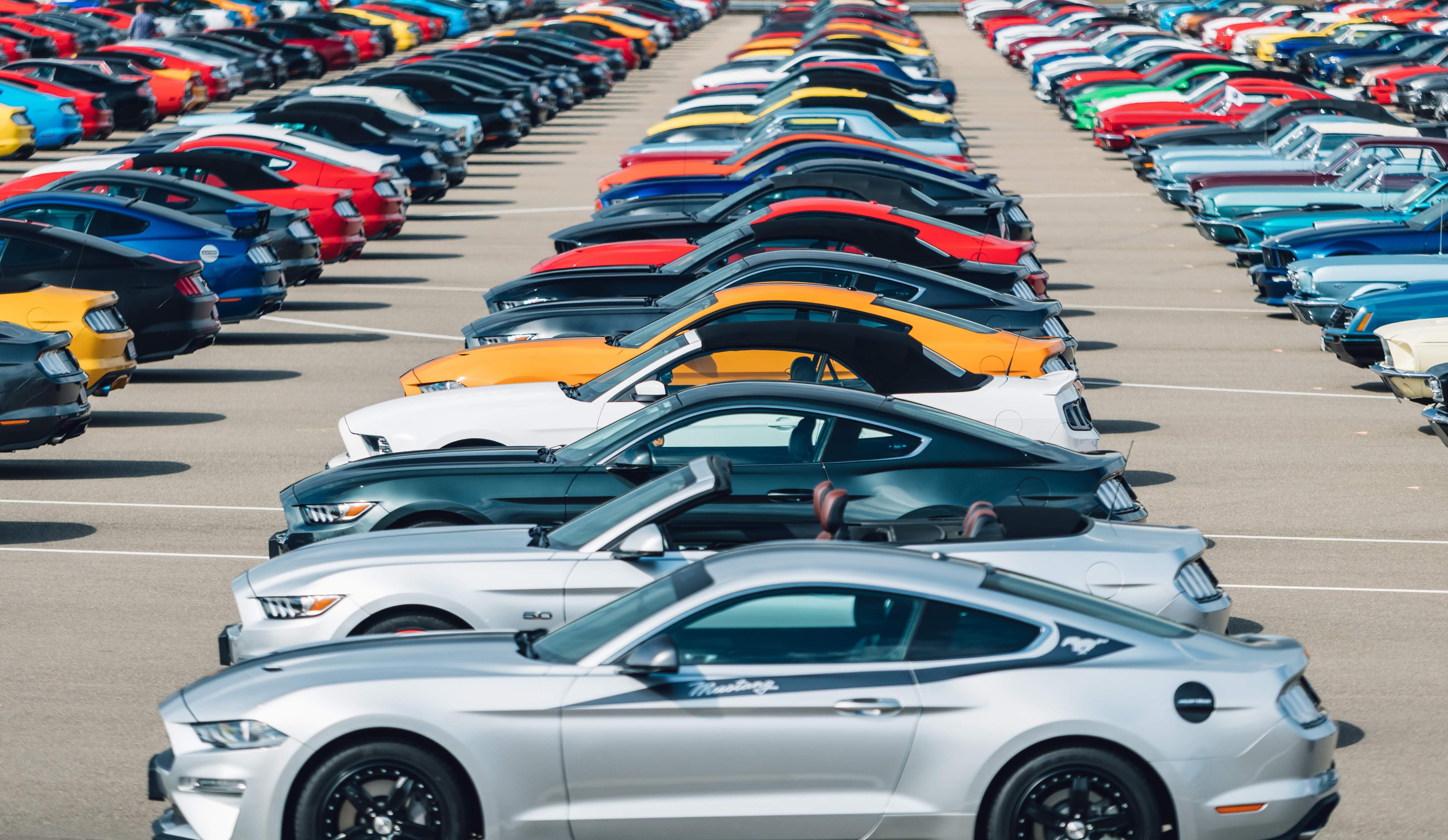 Record breaking Ford Mustang meetup! r/Ford