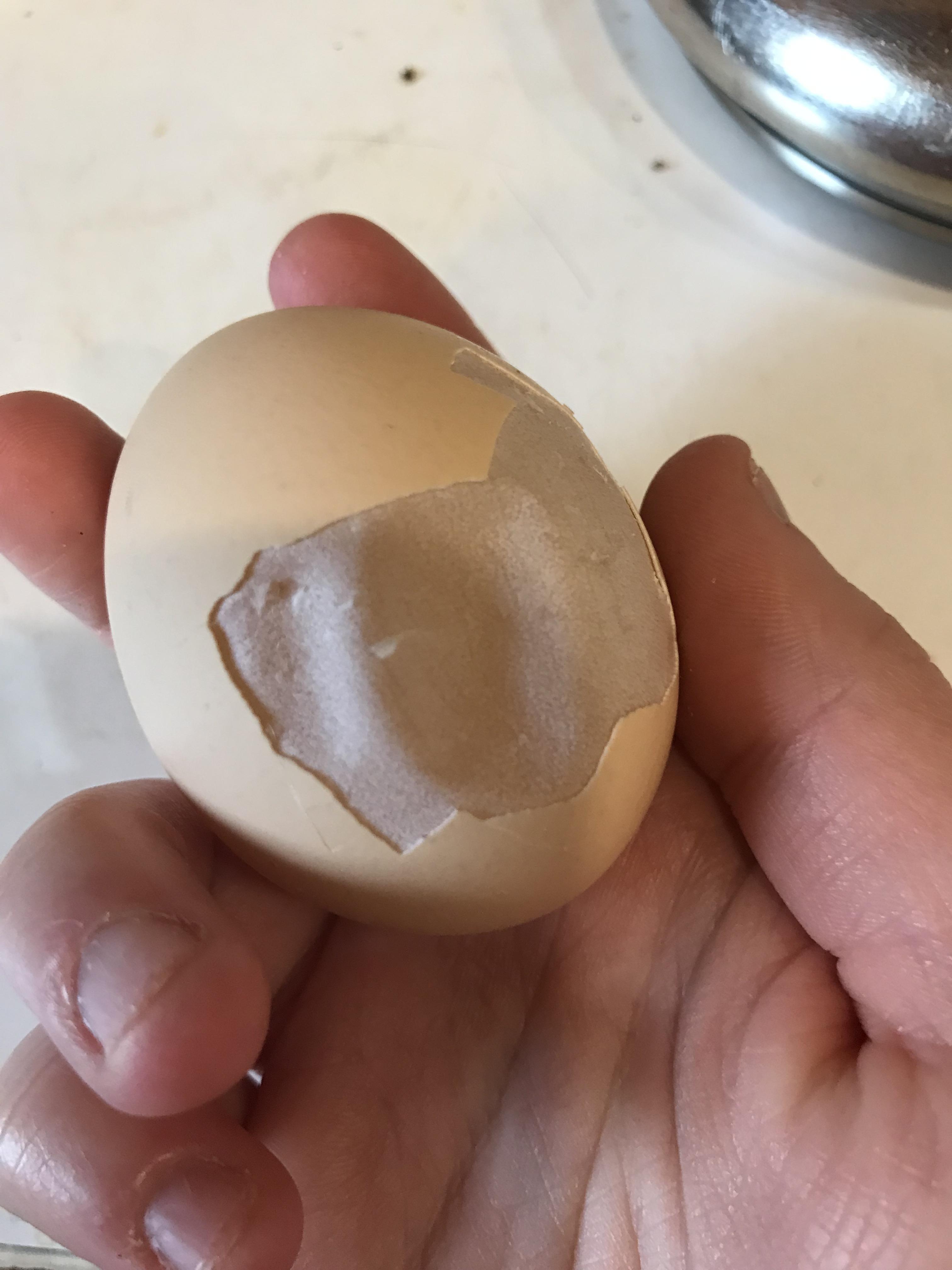 you ever just peel a raw egg r/mildlyinteresting
