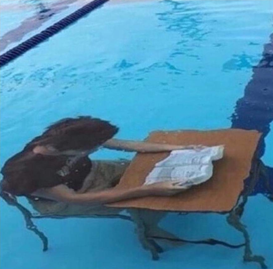 WHY IS MY DOLPHIN NOT WORKING??? memes