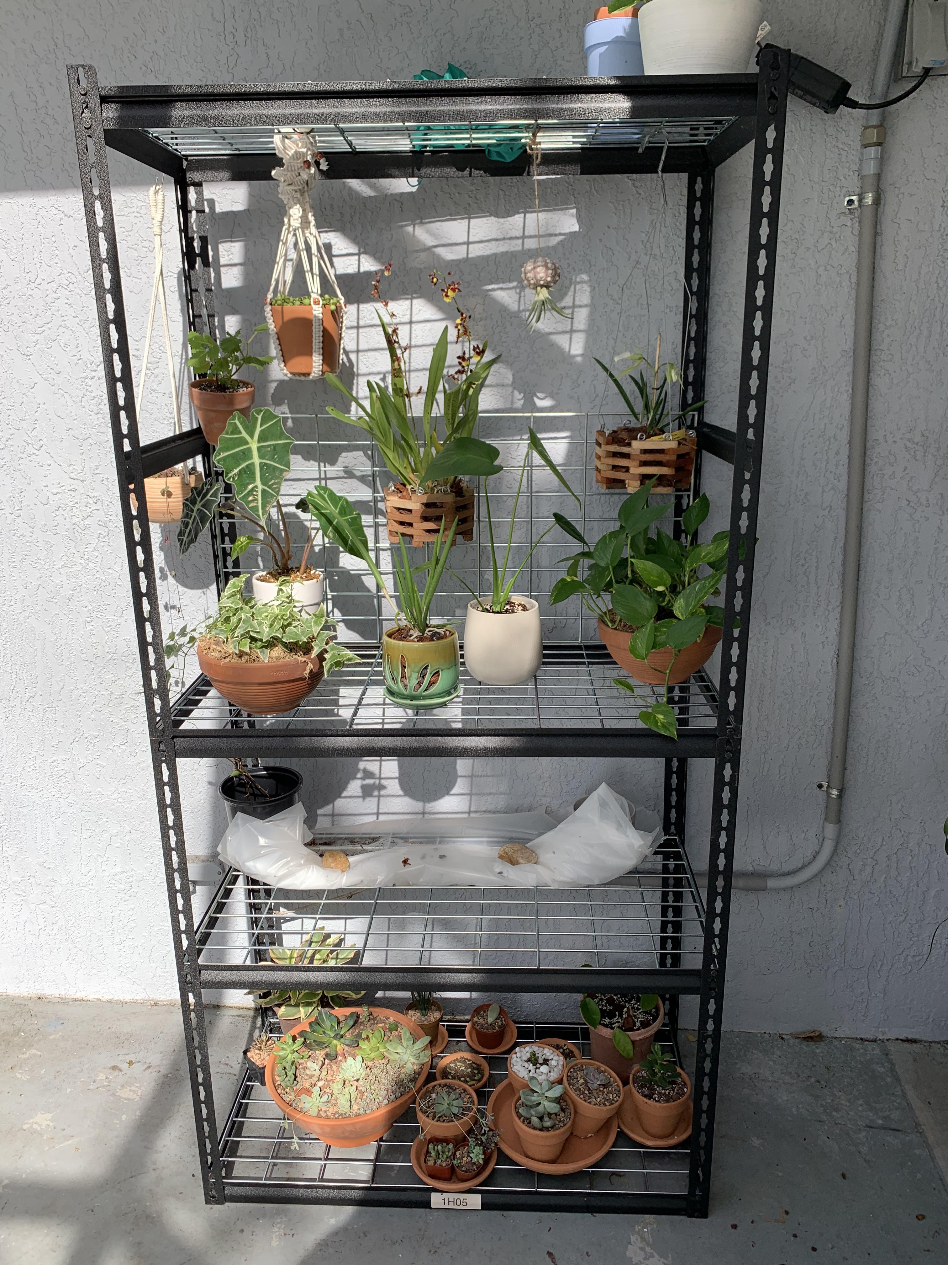 Bonsai Jack Gritty Mix question in comments r/succulents