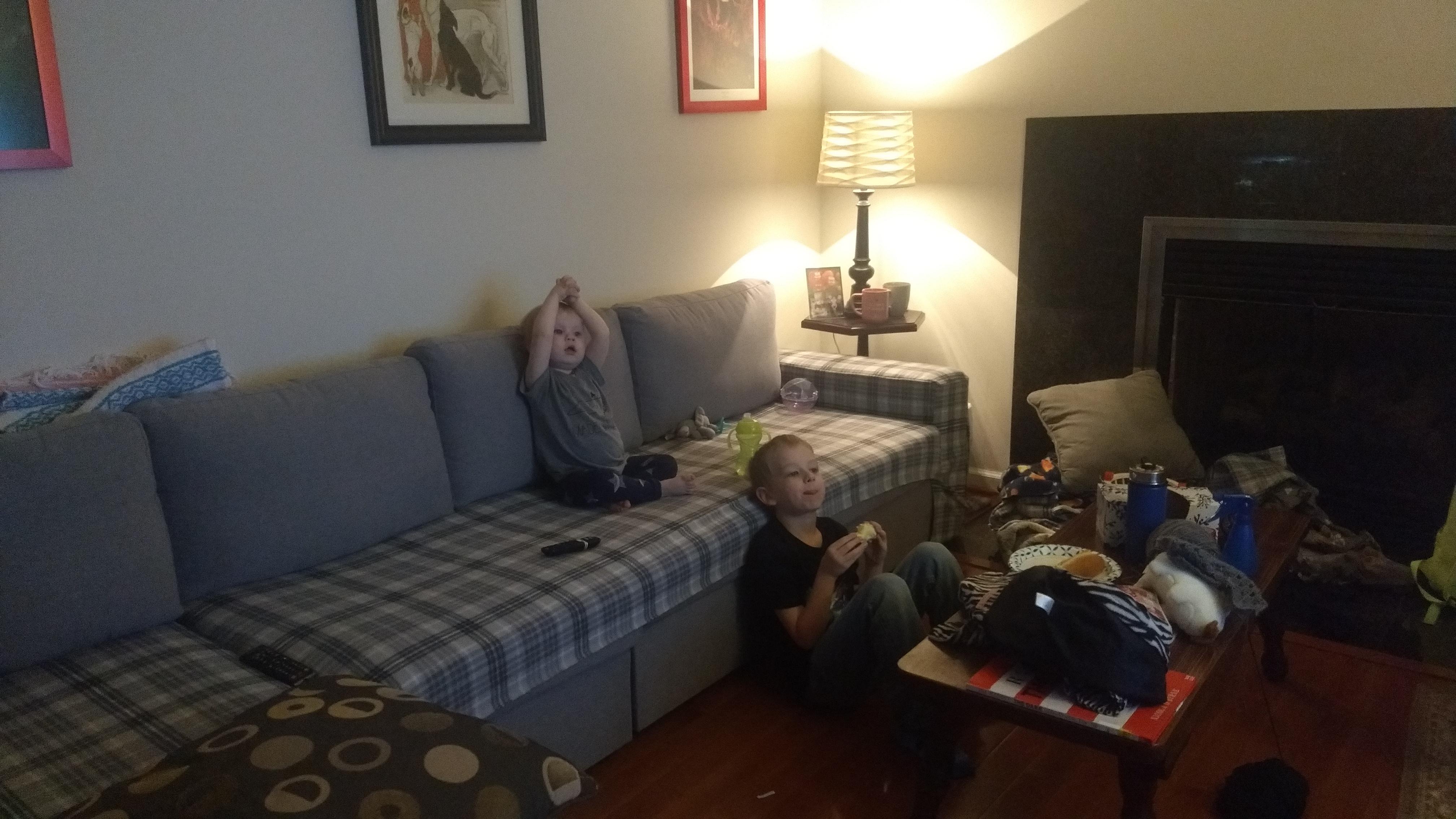 Made water resistant fleece covers for our new couch today. I also