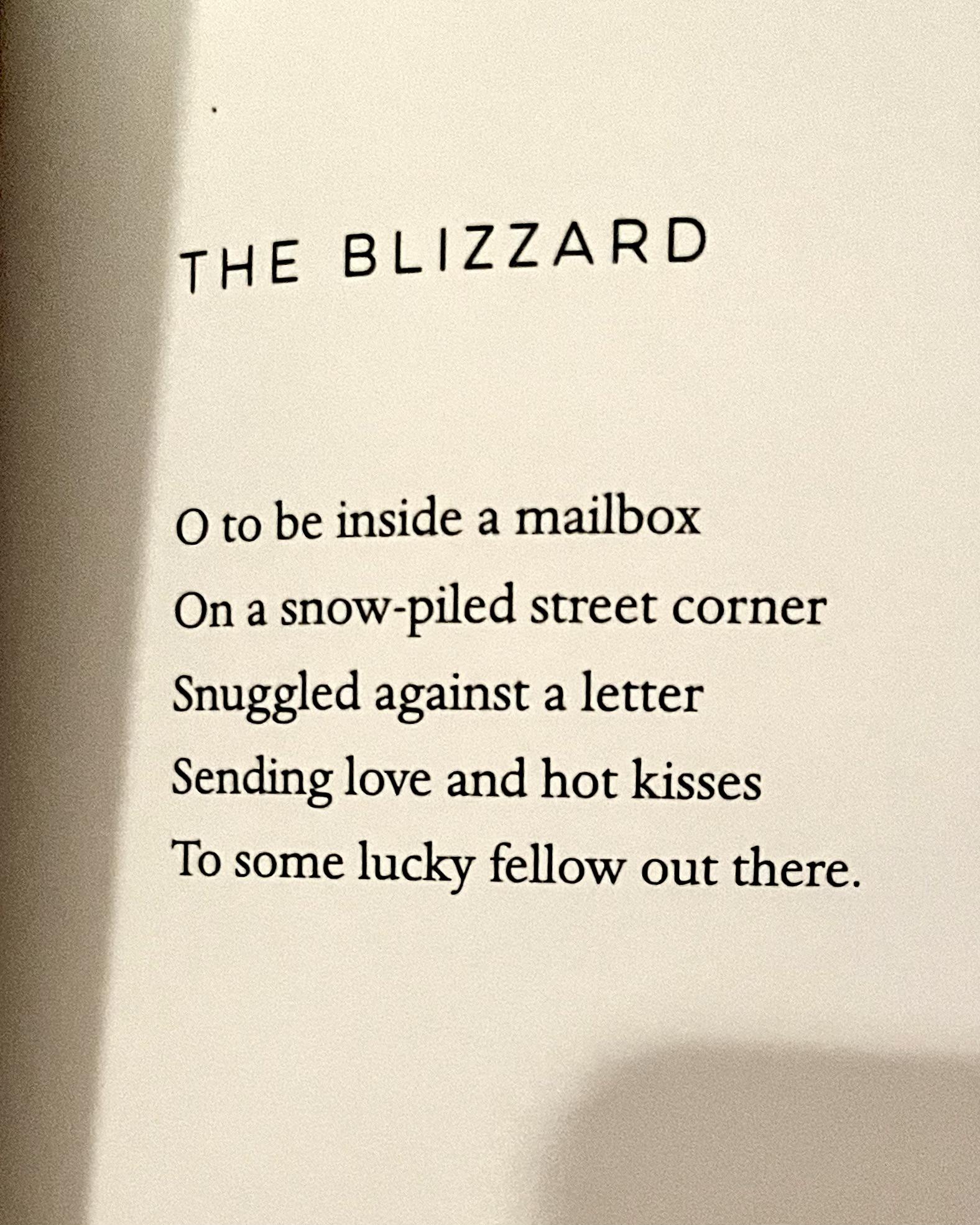[POEM] The Blizzard by Charles Simic r/Poetry