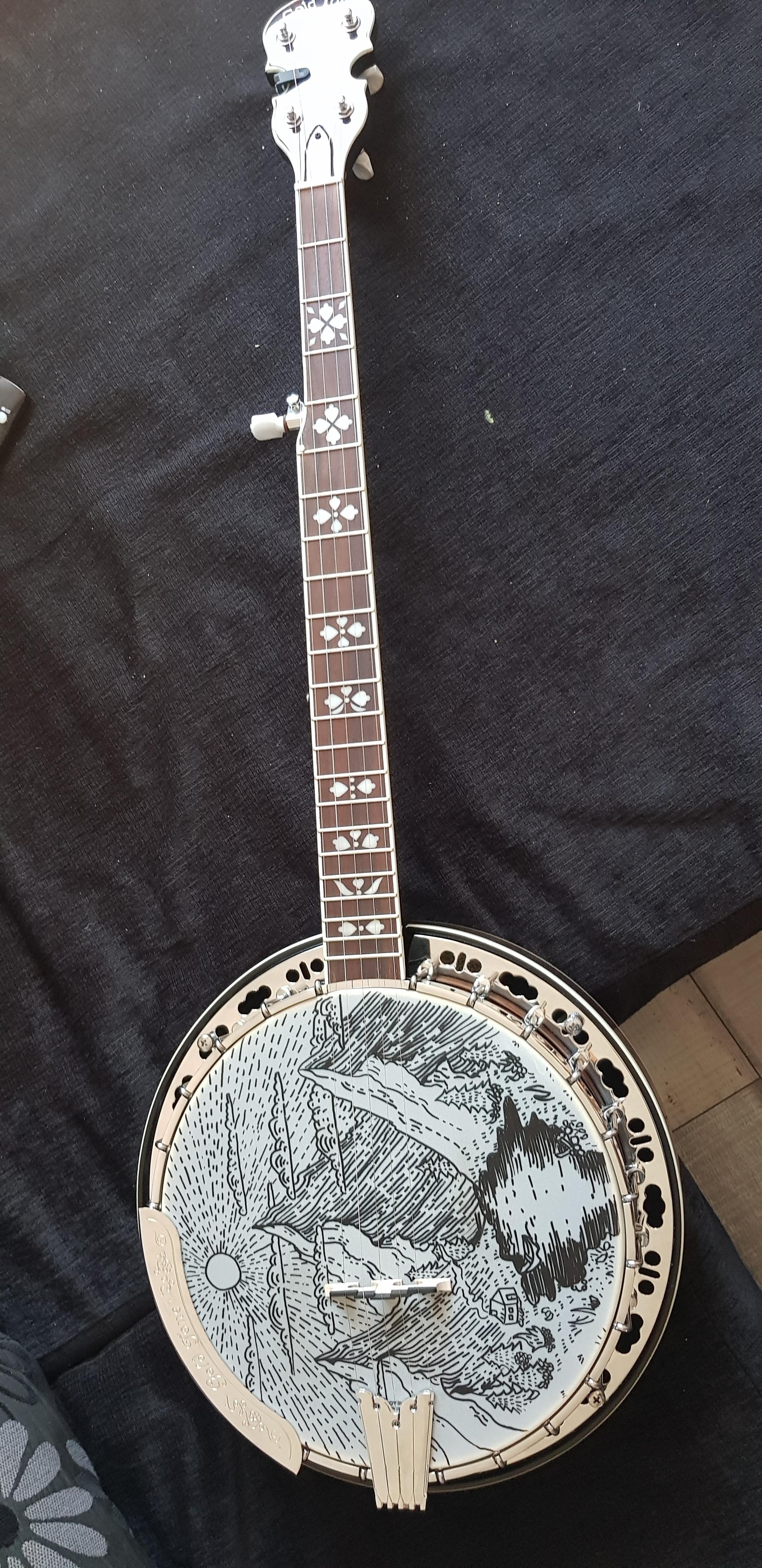 About a year ago I painted my banjo head. r/banjo