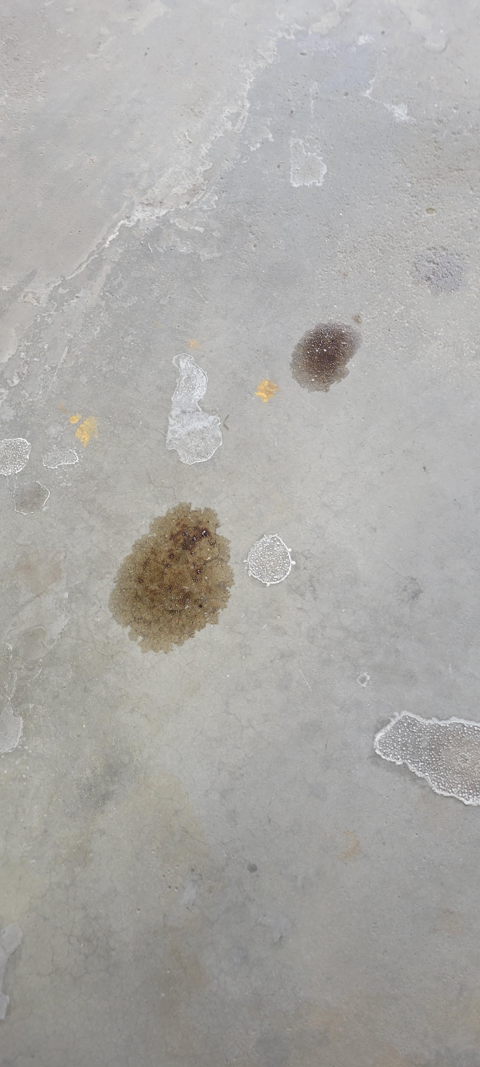 Cold weather oil leak ?? : KiaTelluride