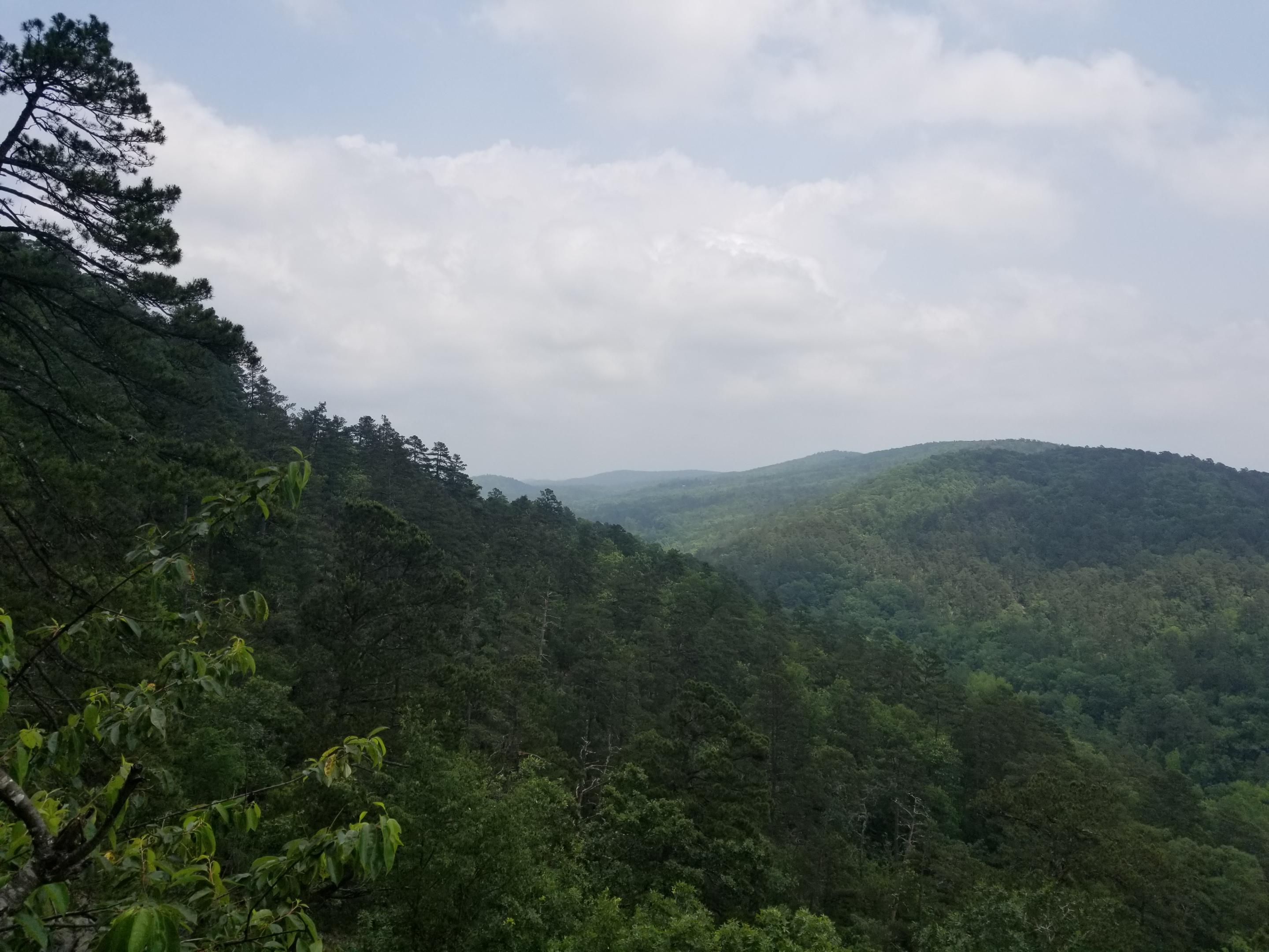 Atop "Goat Rock" in Hot Springs National Park in Arkansas r/NationalPark