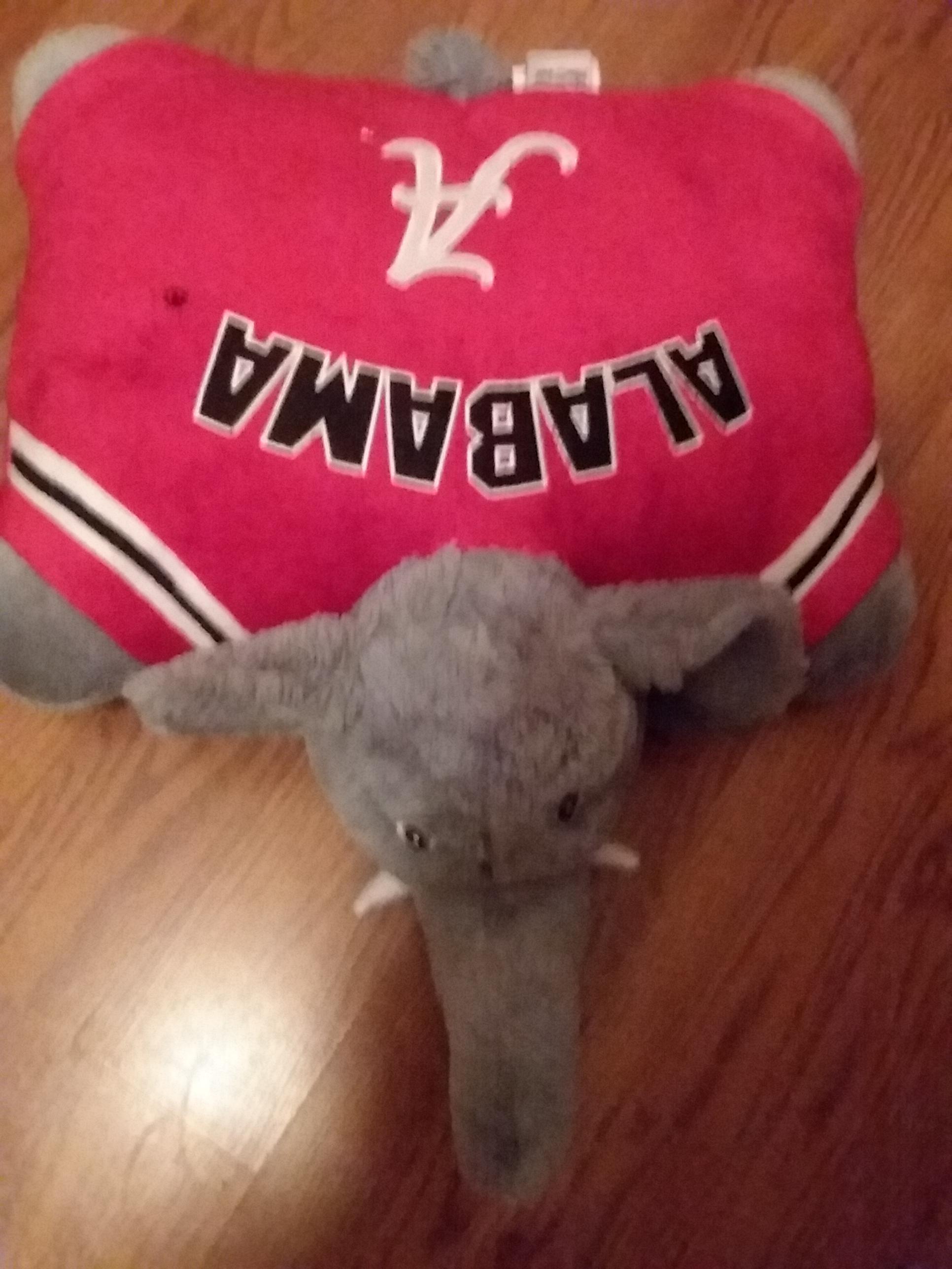 Anyone else have this pillow pet? r/rolltide
