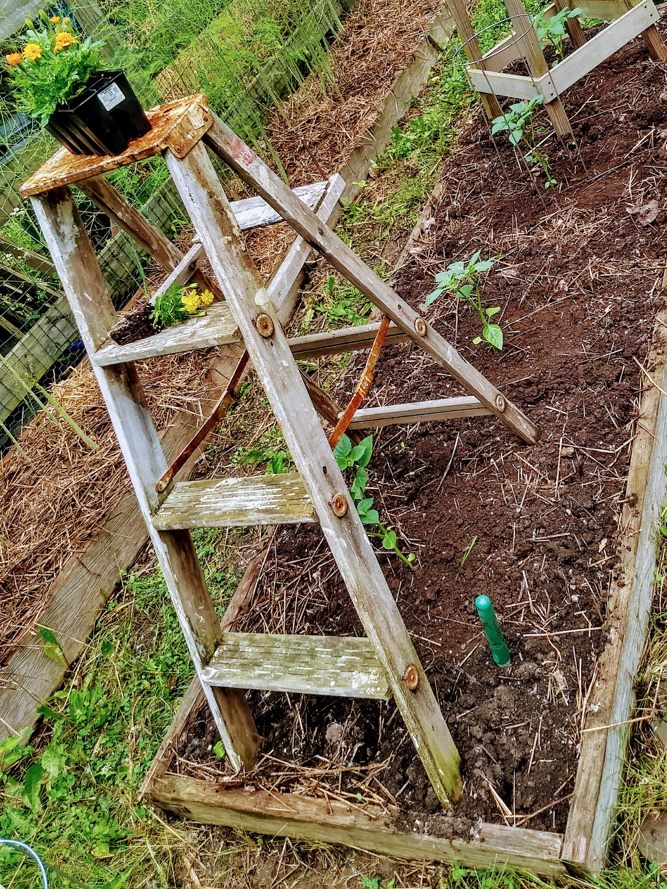 Repurposed tomatillo trellis r/gardening