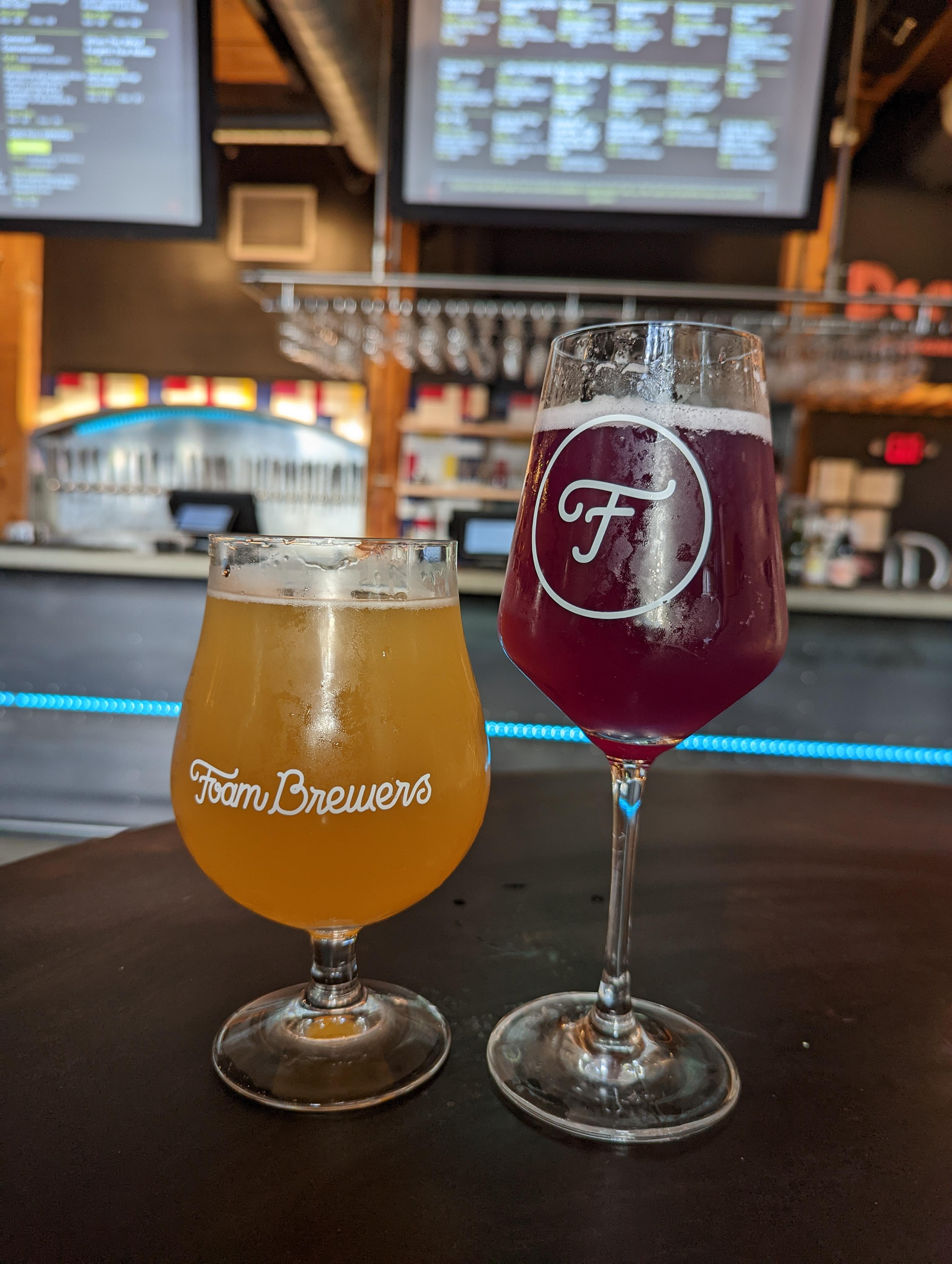 Odd Pets & Constant Conversations Foam Brewery, Burlington VT r