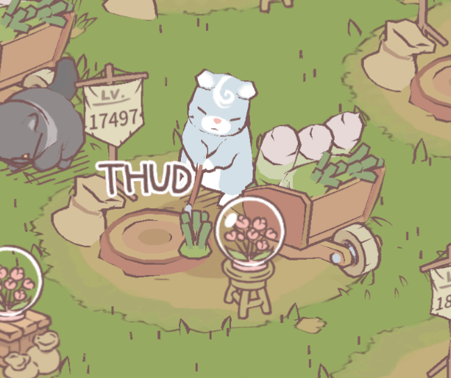 Finally got the Cloudy Ragdoll and she is just too cute 🥰 : CatsAndSoup