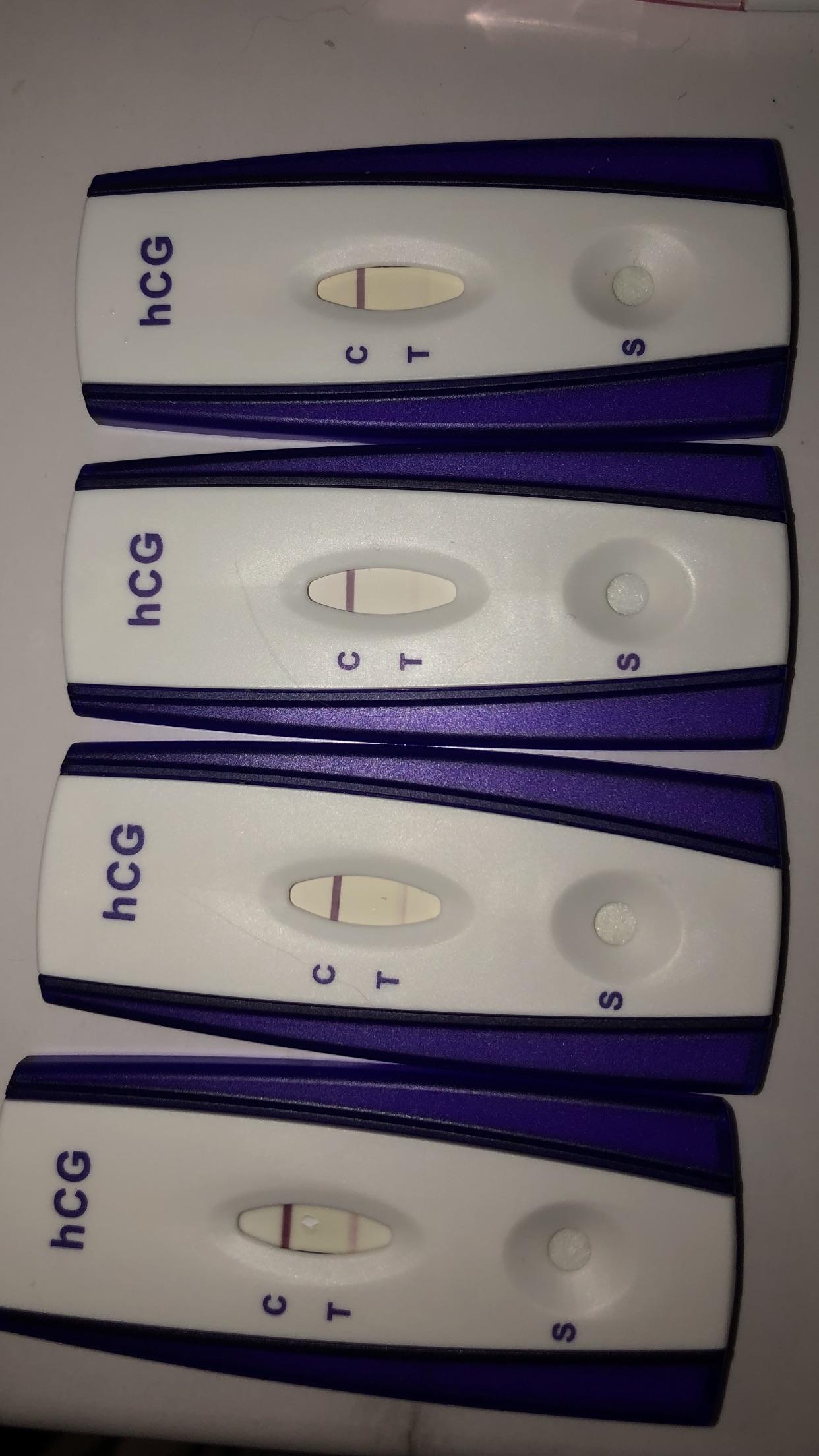 Walmart Pregnancy Test Progression pregnancy test