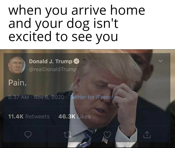 Fine, I guess I'll go fuck myself memes