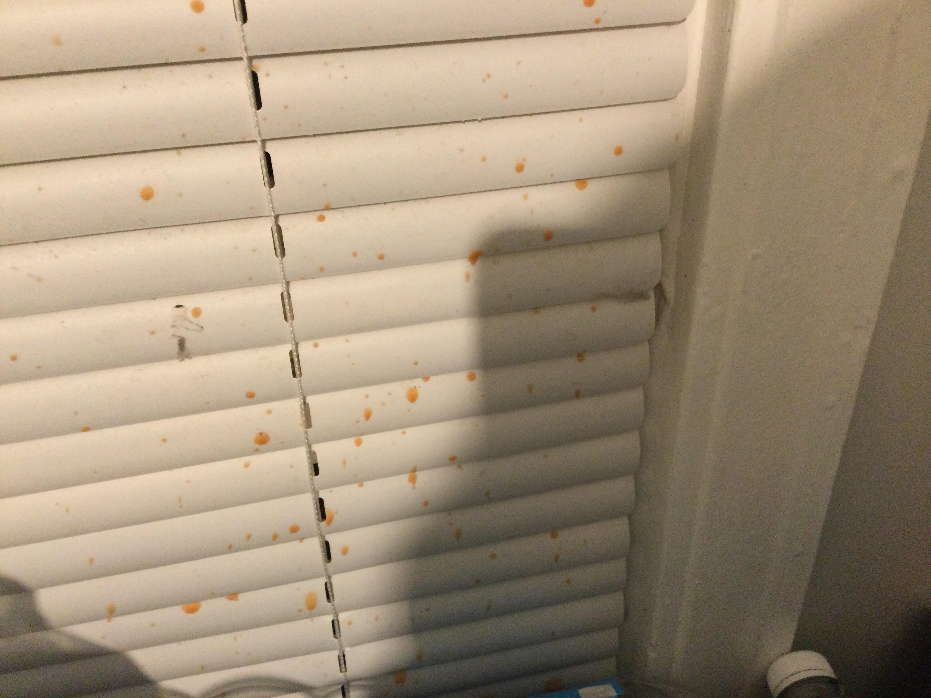 Why did my candle explode? r/Candles