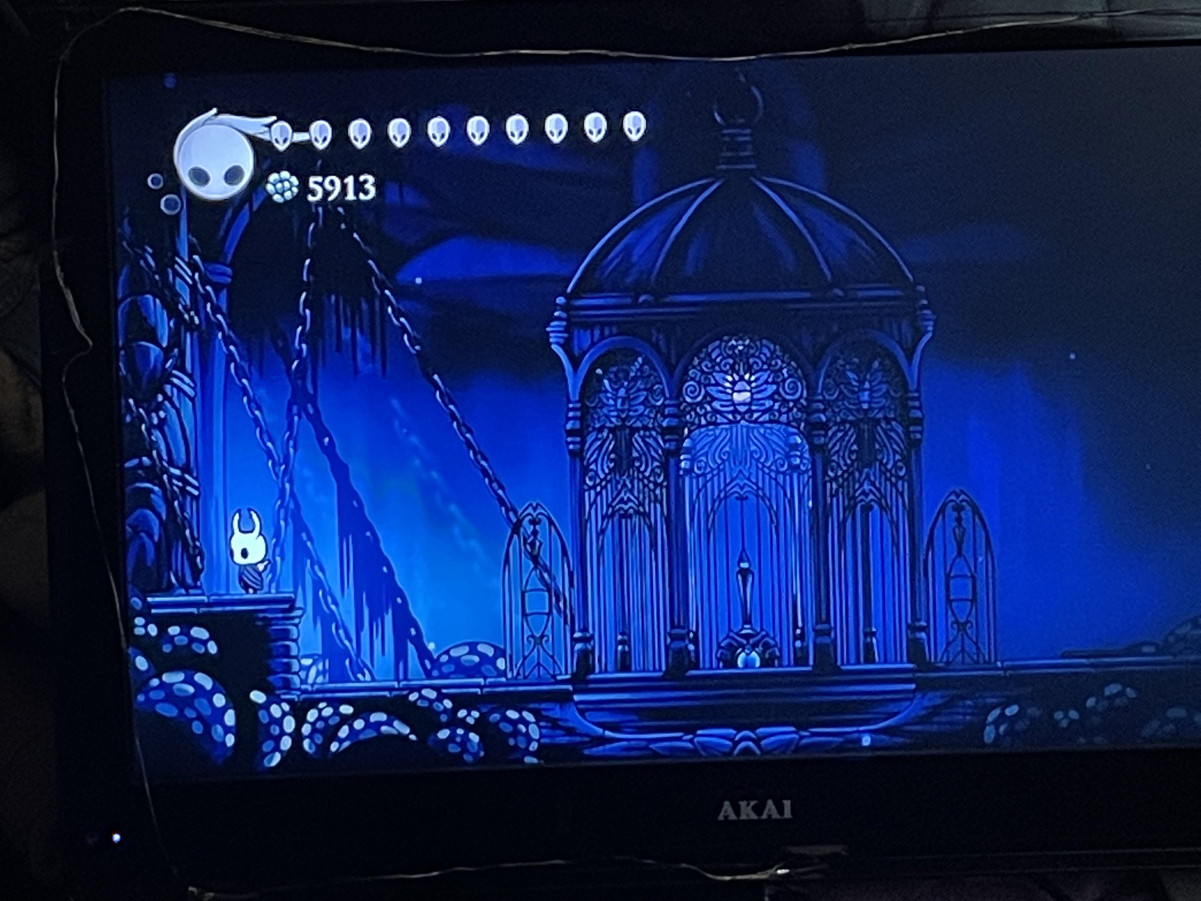 Hey! Does this door ever open? In city of tears and Fungal Wastes is on
