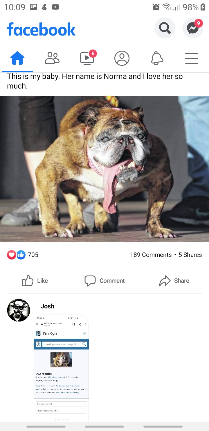 This guy, lying to have the world's oldest English bulldog. Gets called