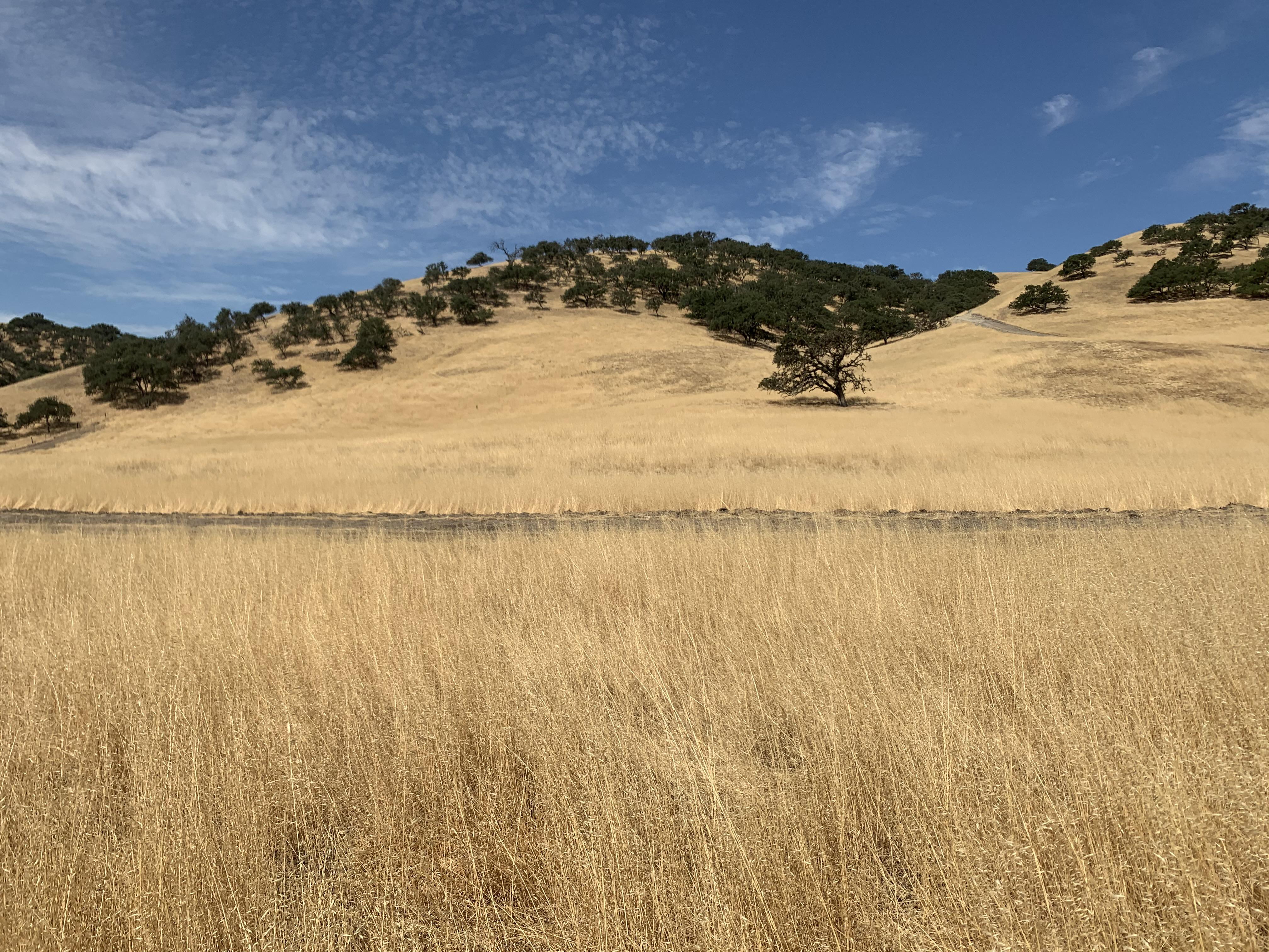 San Ardo, California, USA [OC] [4024x3200] r/EarthPorn