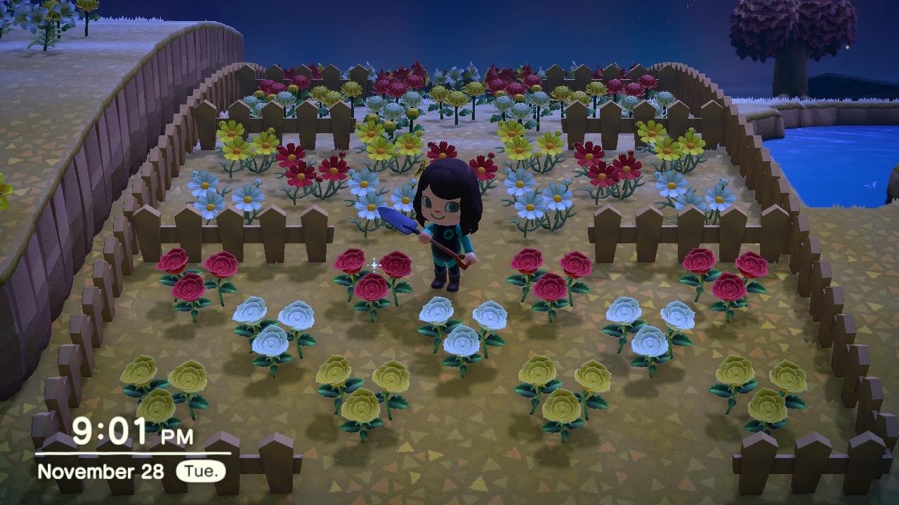 Any tips on how to crossbreed flowers? r/AnimalCrossingNewHor