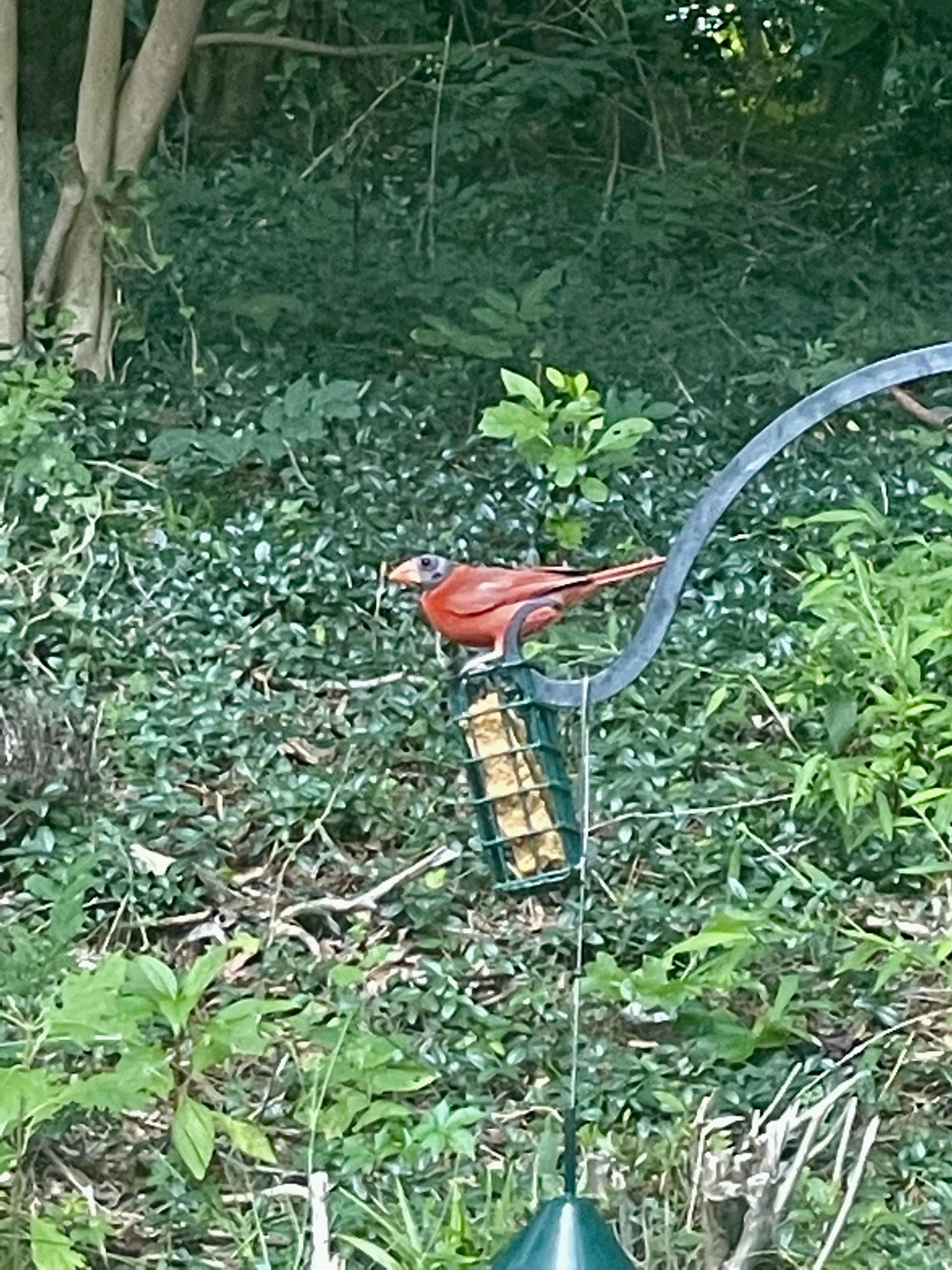 365 best Chapel Hill images on Pholder North Carolina, Deadmalls and