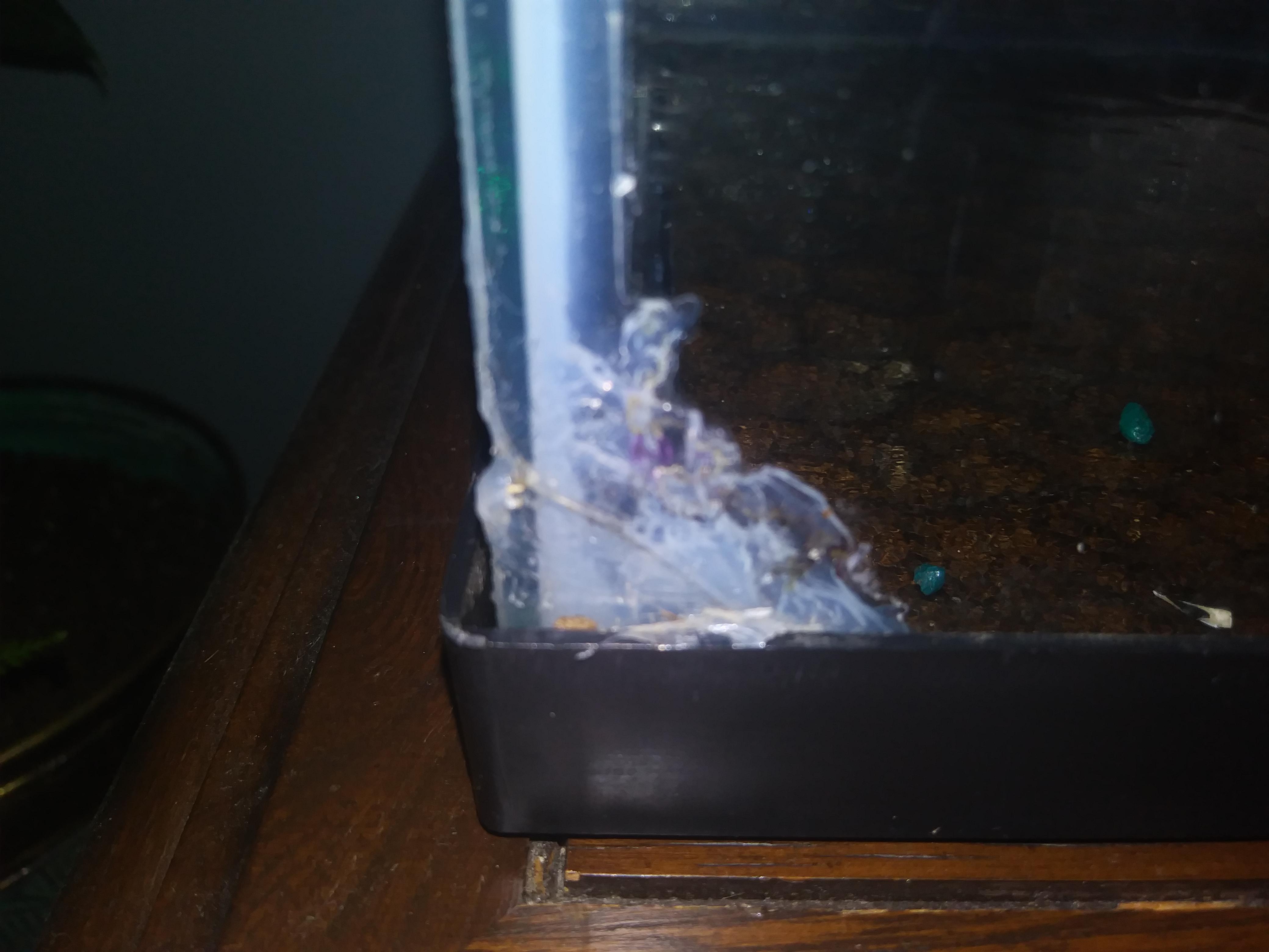 Is this tank safe? r/Aquariums